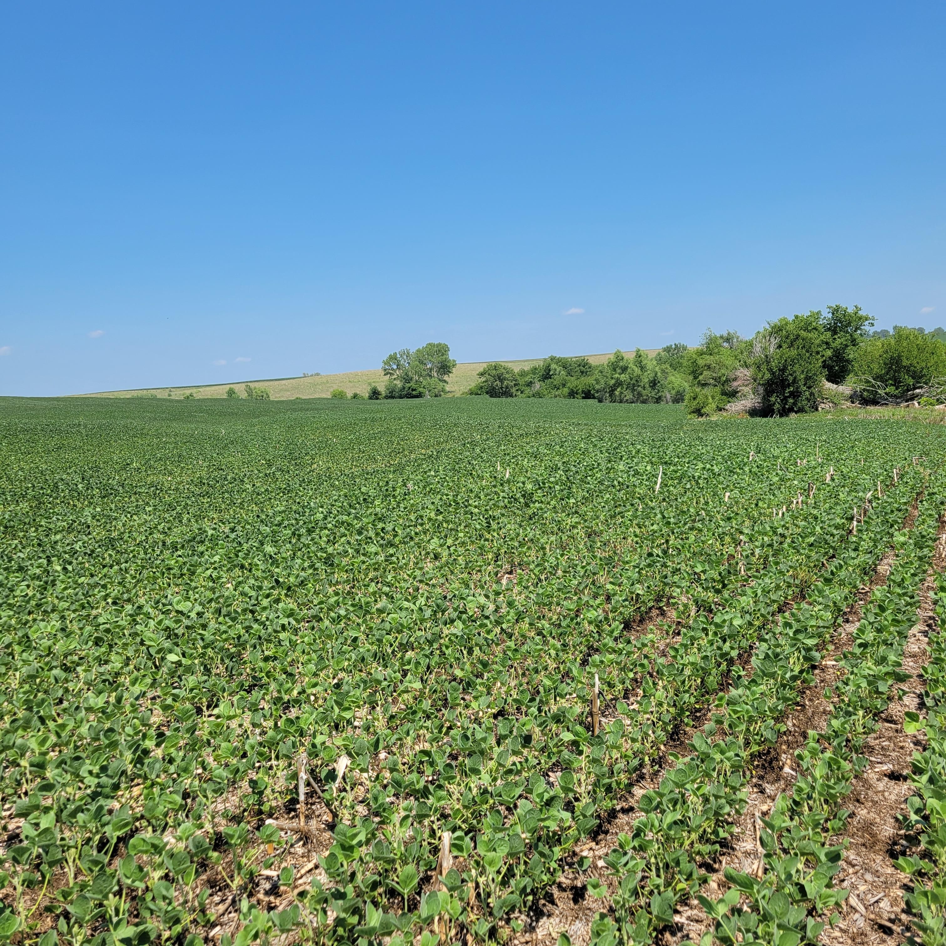 160 acres in Otoe County, Nebraska