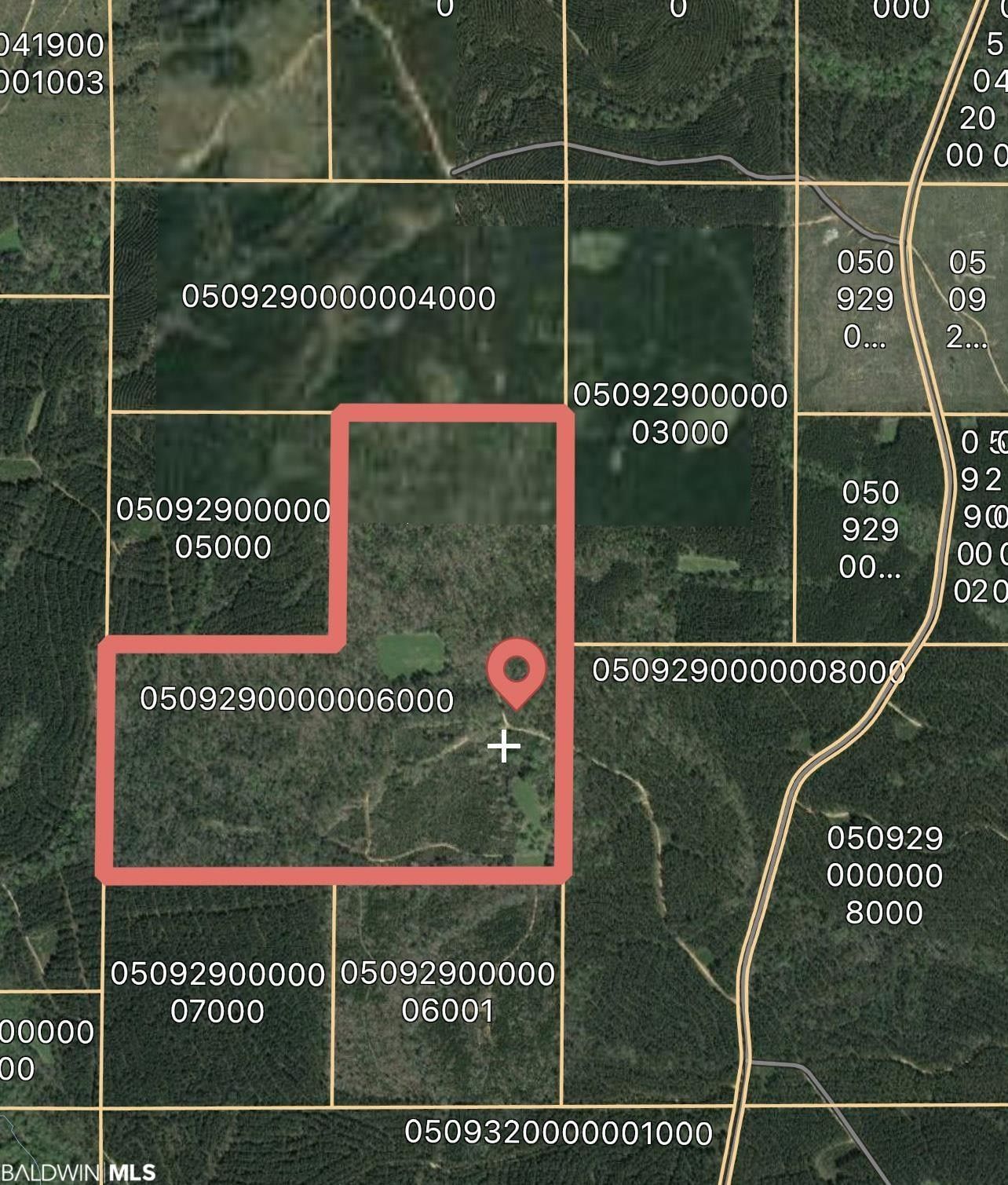 120 acres in Conecuh County, Alabama
