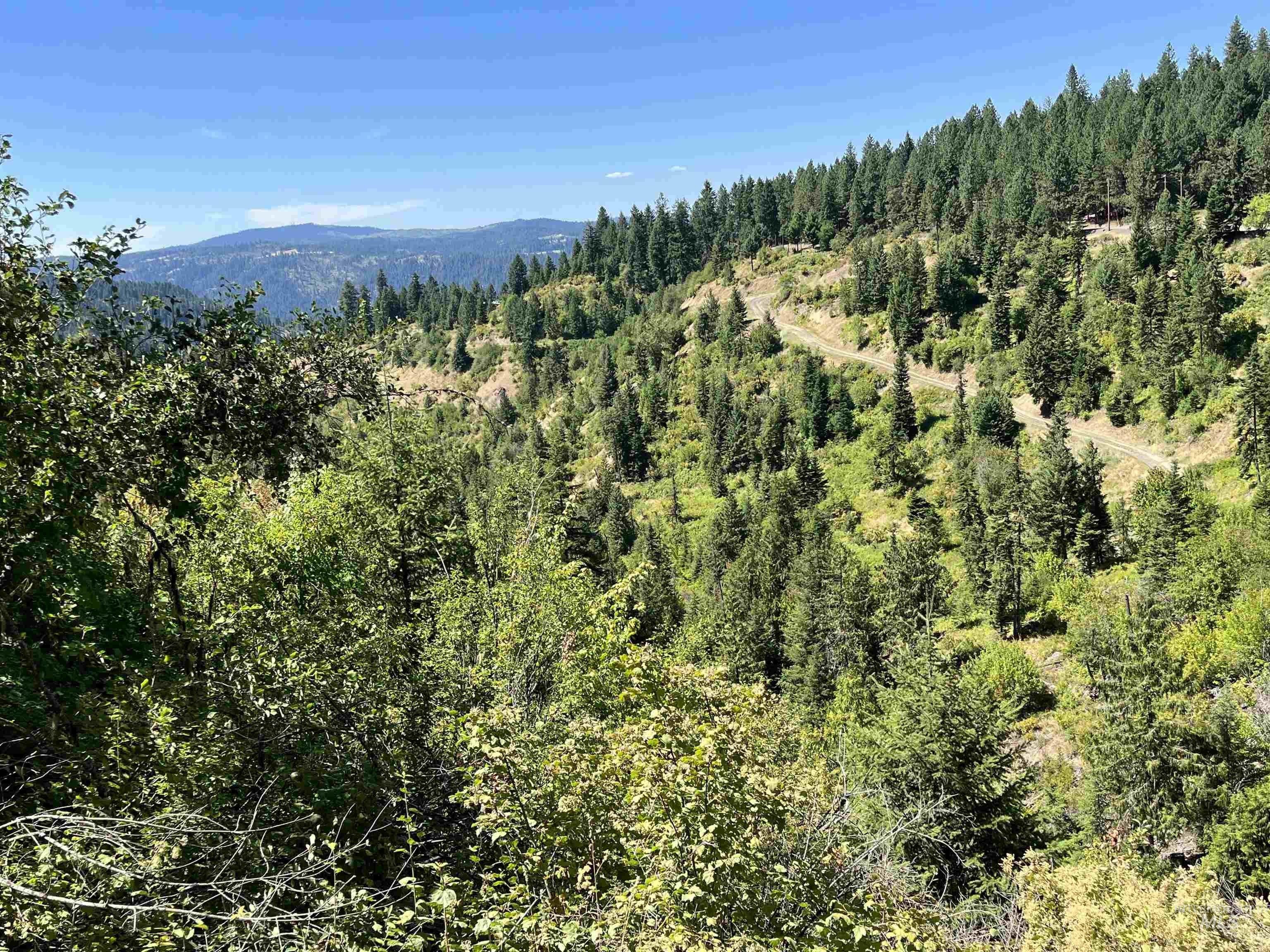 73 acres in Clearwater County, Idaho