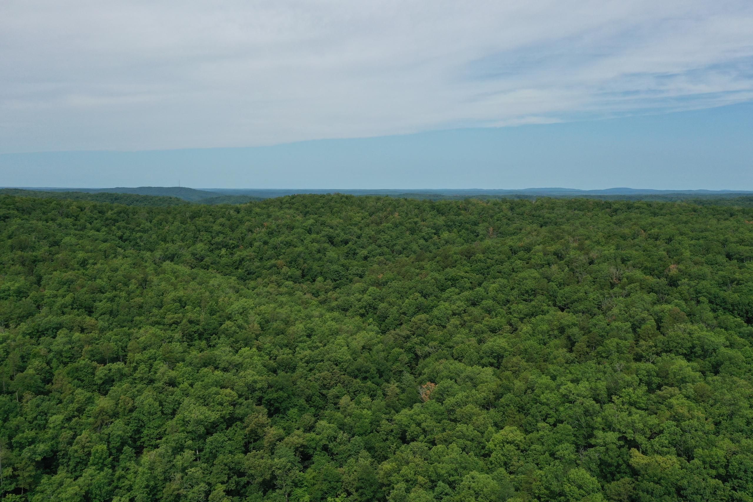 40 acres in Carter County, Missouri