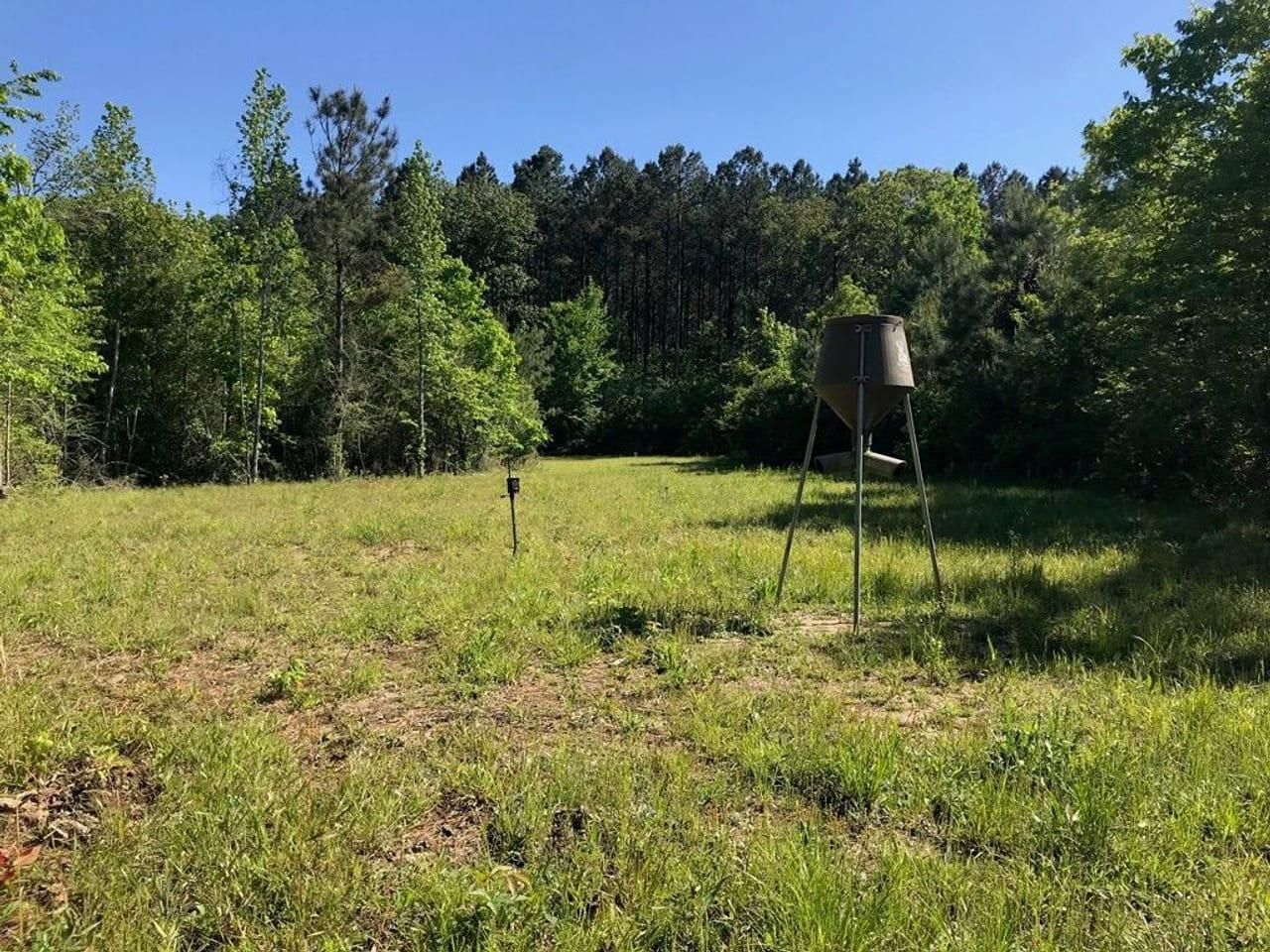 41 acres in Lincoln County, Mississippi