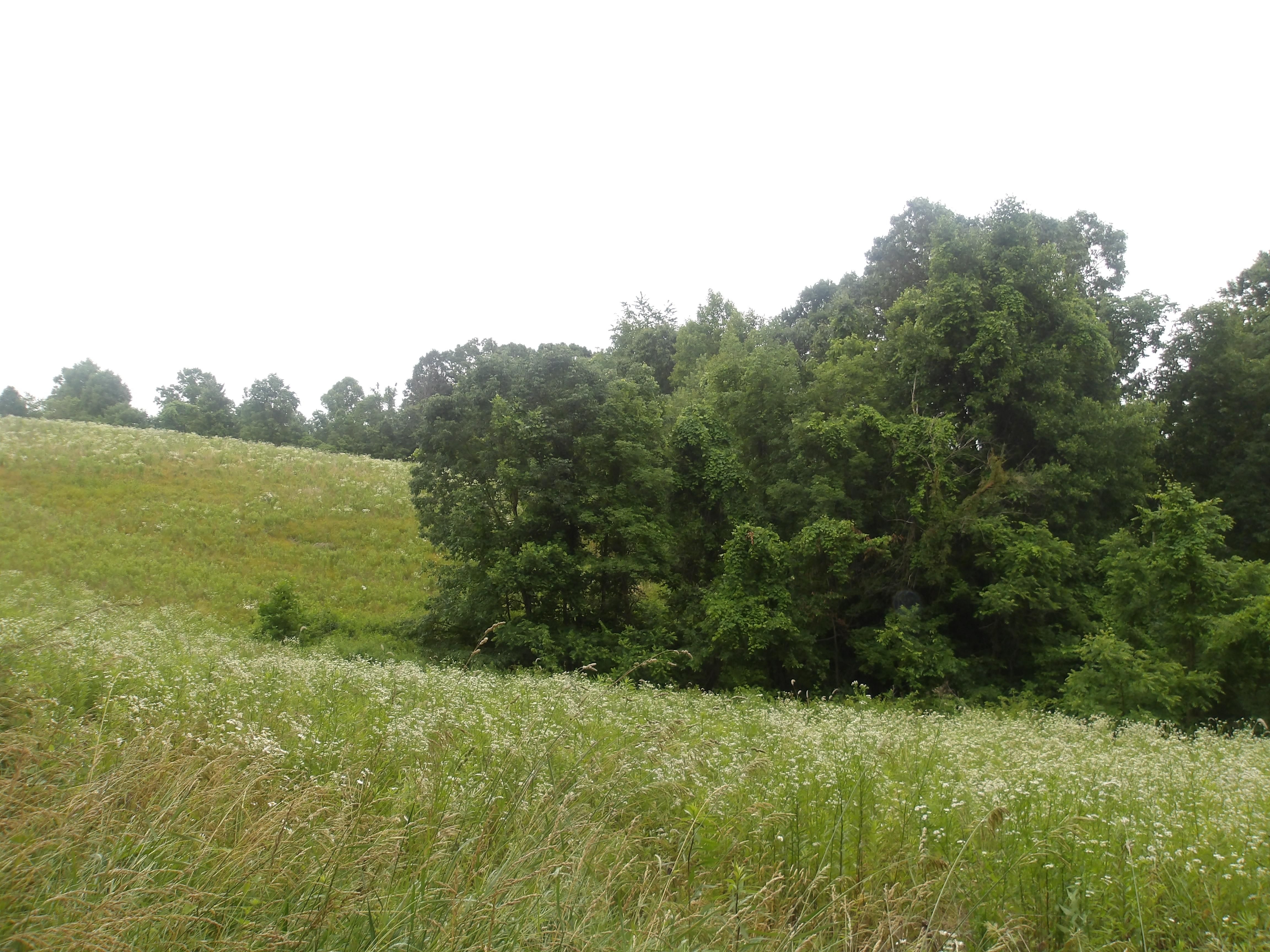 10 acres in Noble County, Ohio