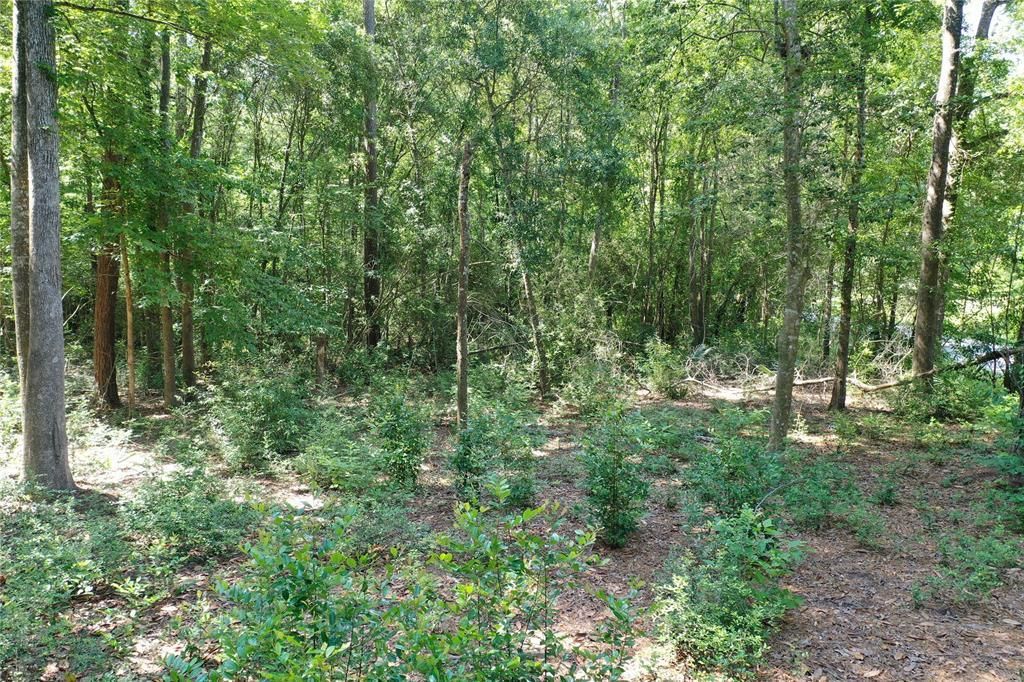 1.8 acres in Liberty County, Texas