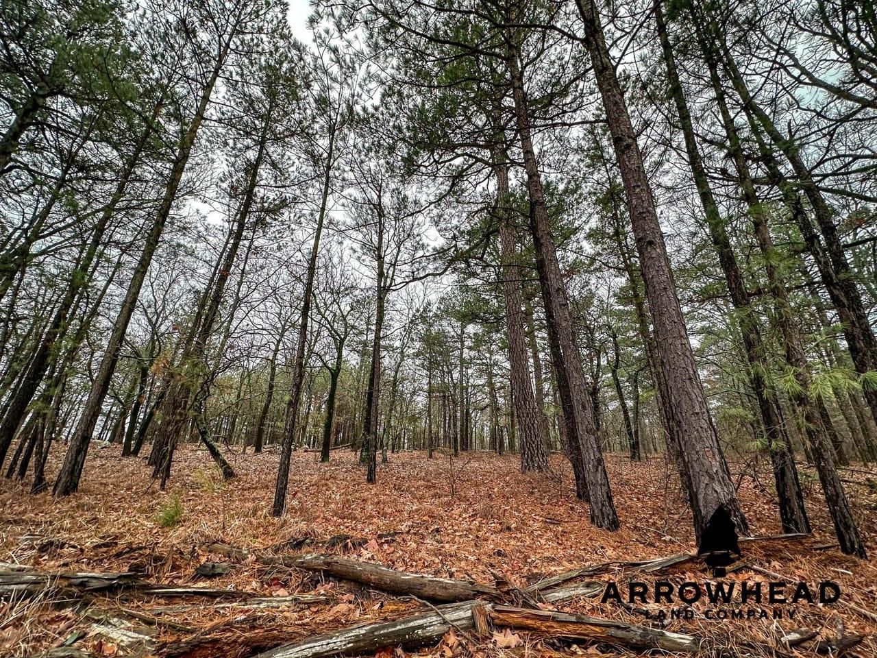 Savage Road, Hartshorne, OK 74547