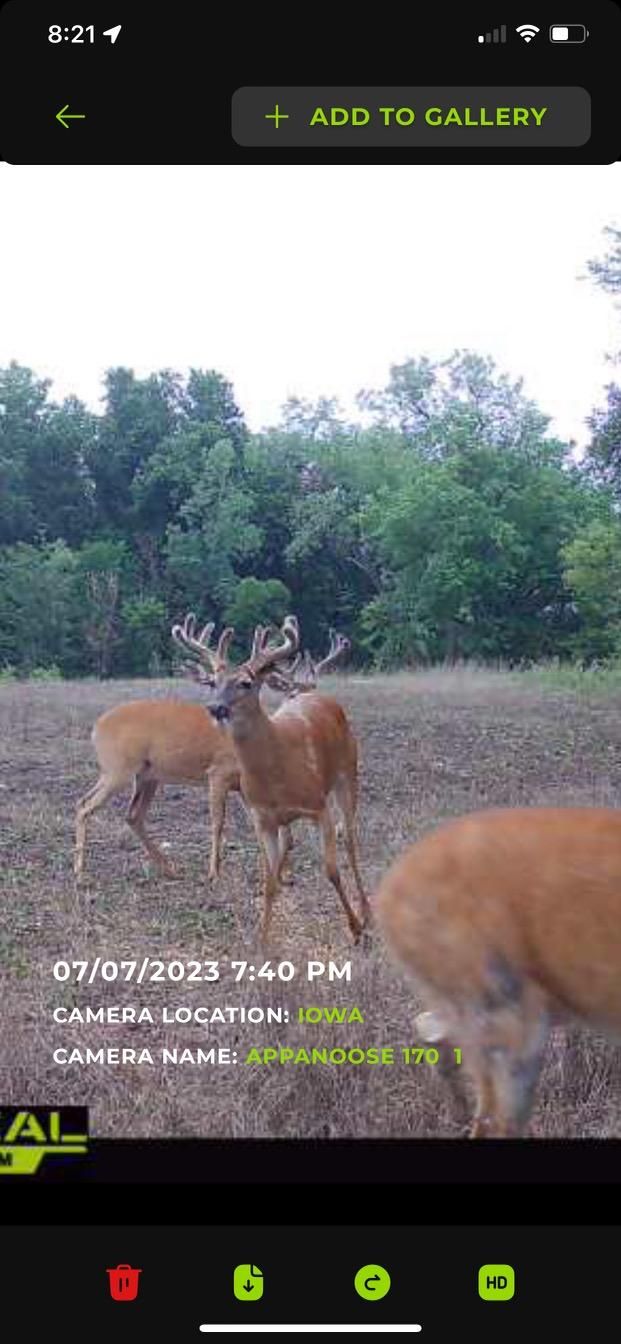 170 acres in Appanoose County, Iowa