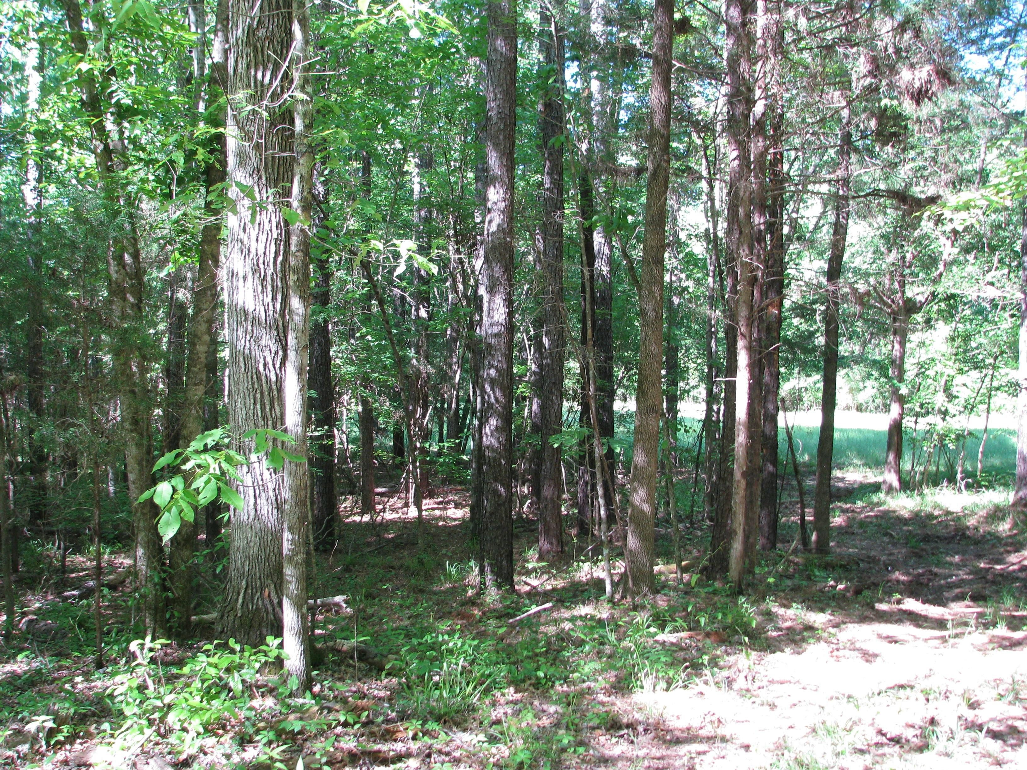 160 acres in Grove Hill, AL, 36451
