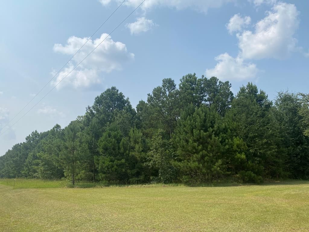 2.39 acres in Laurens County,