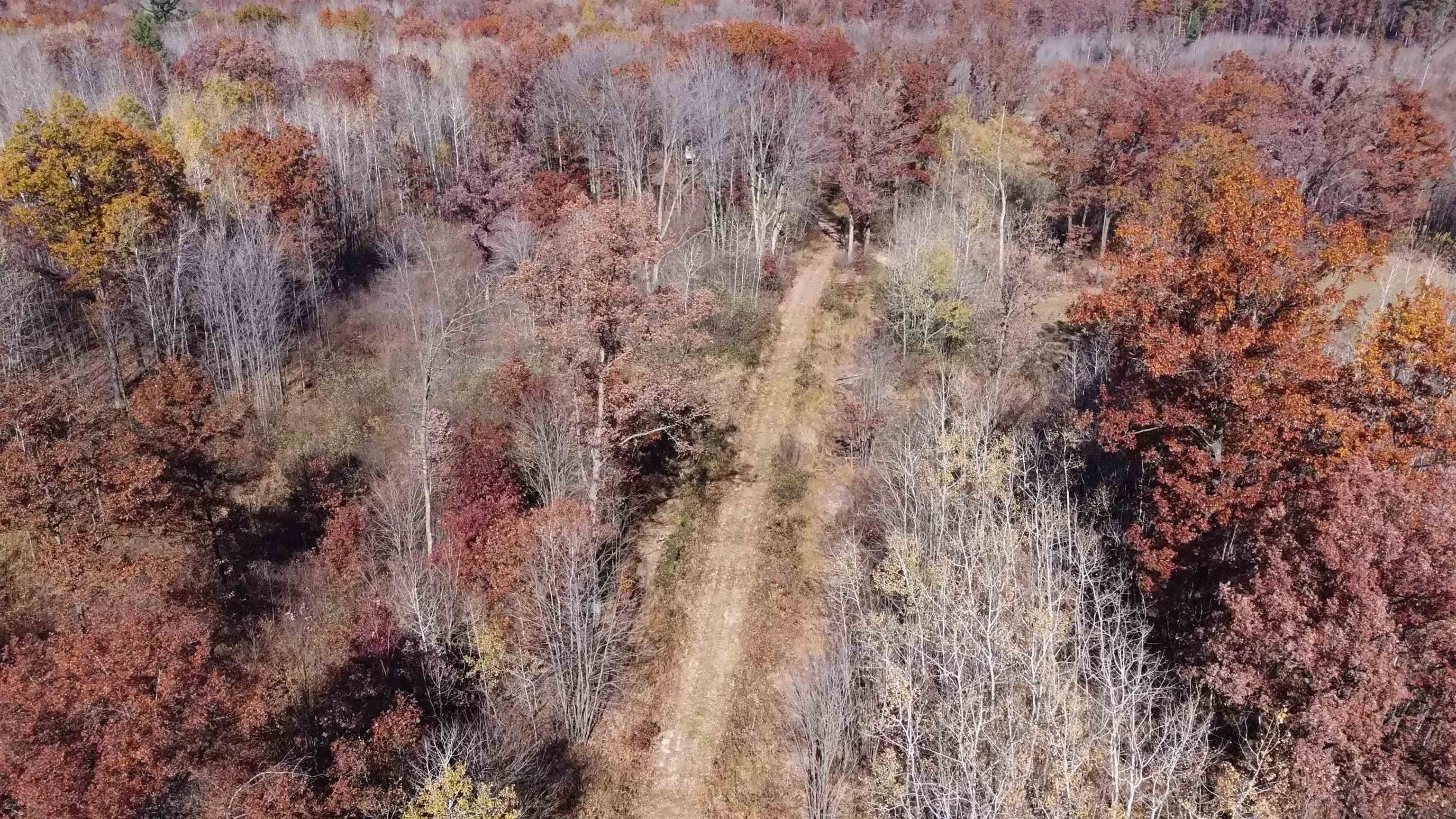 160 acres in Juneau County, Wisconsin
