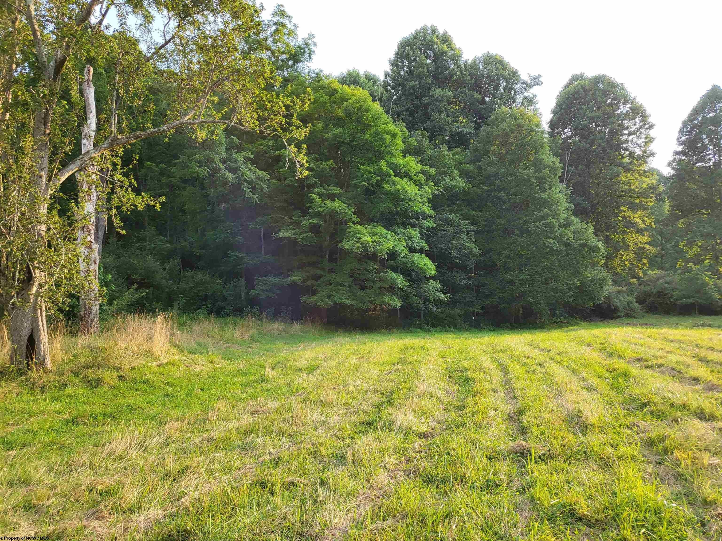 5 acres in Braxton County, West Virginia