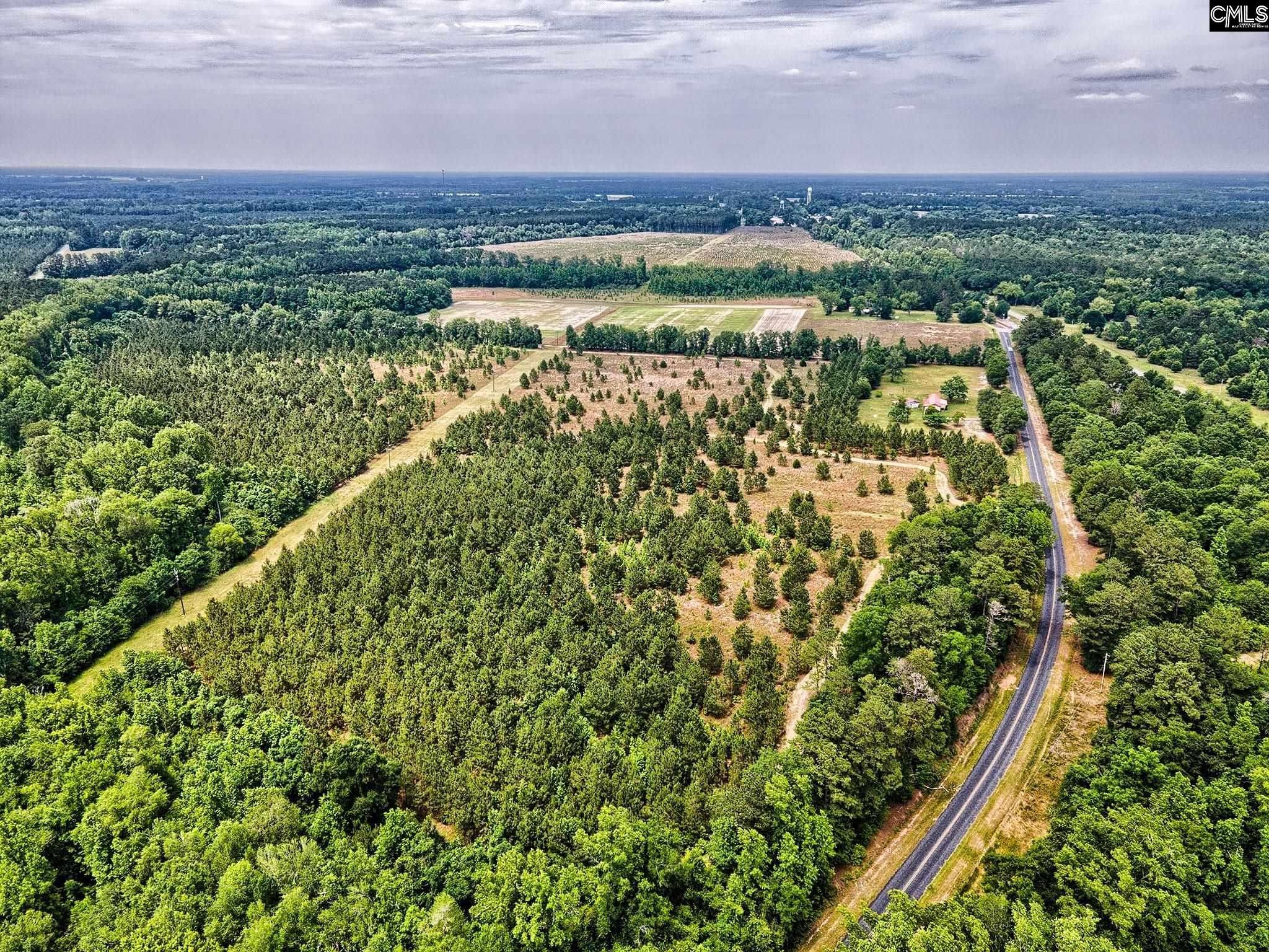 61.96 acres in Bamberg County, South Carolina