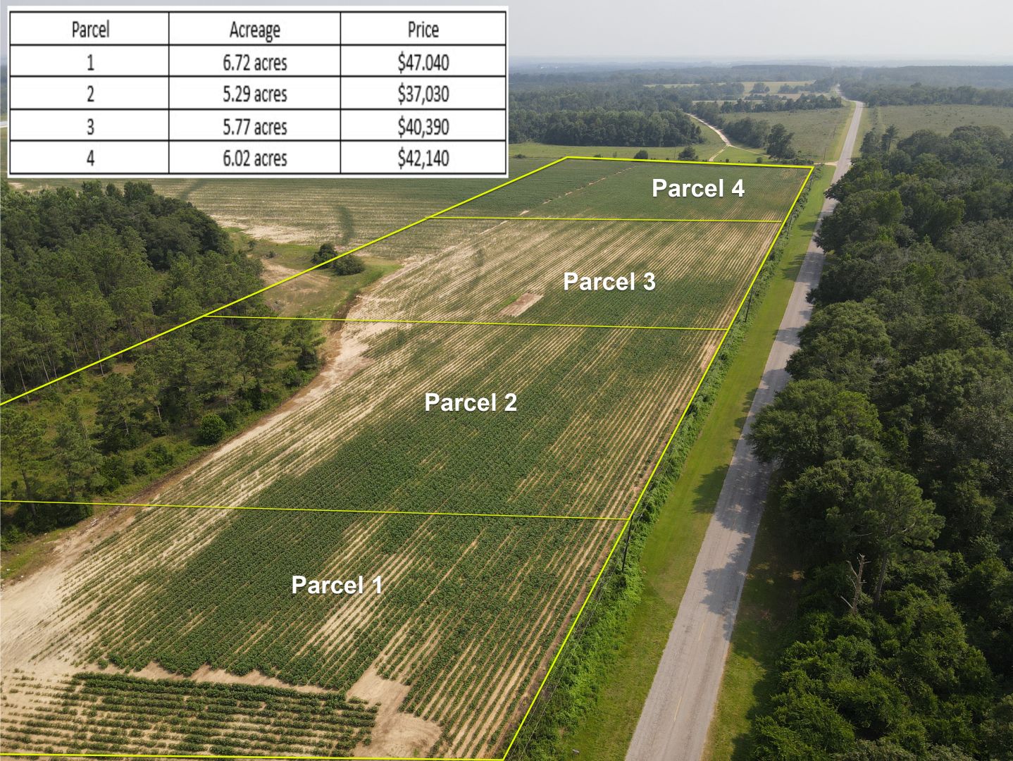 6 acres in Dale County, Alabama