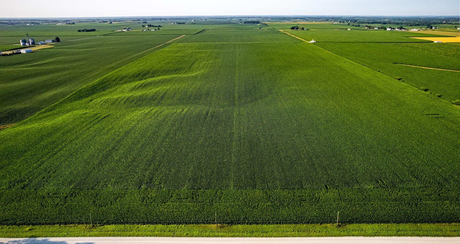 81 acres in Mercer County, Illinois