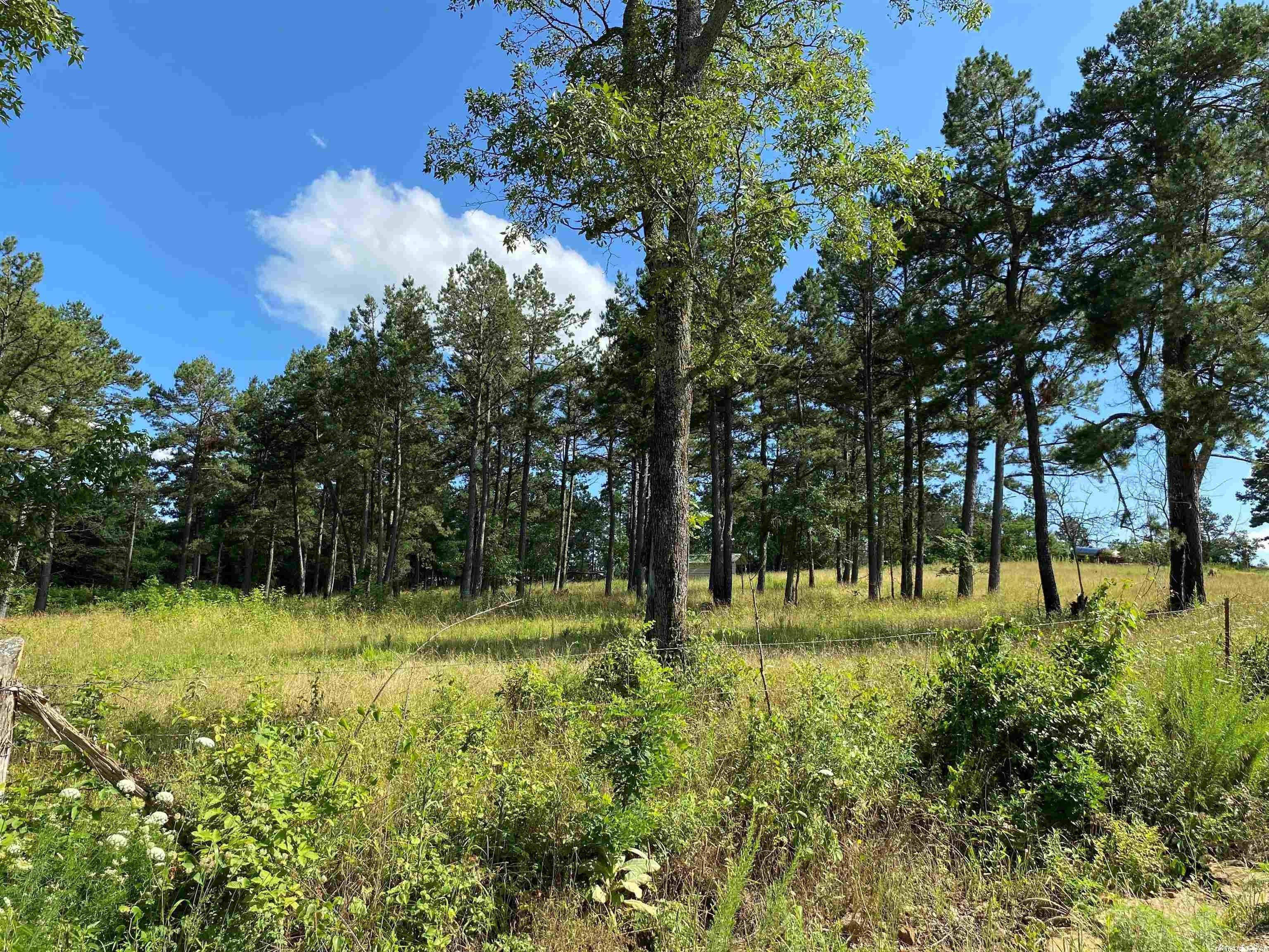 Farm or Ranch Land Timbo, AR