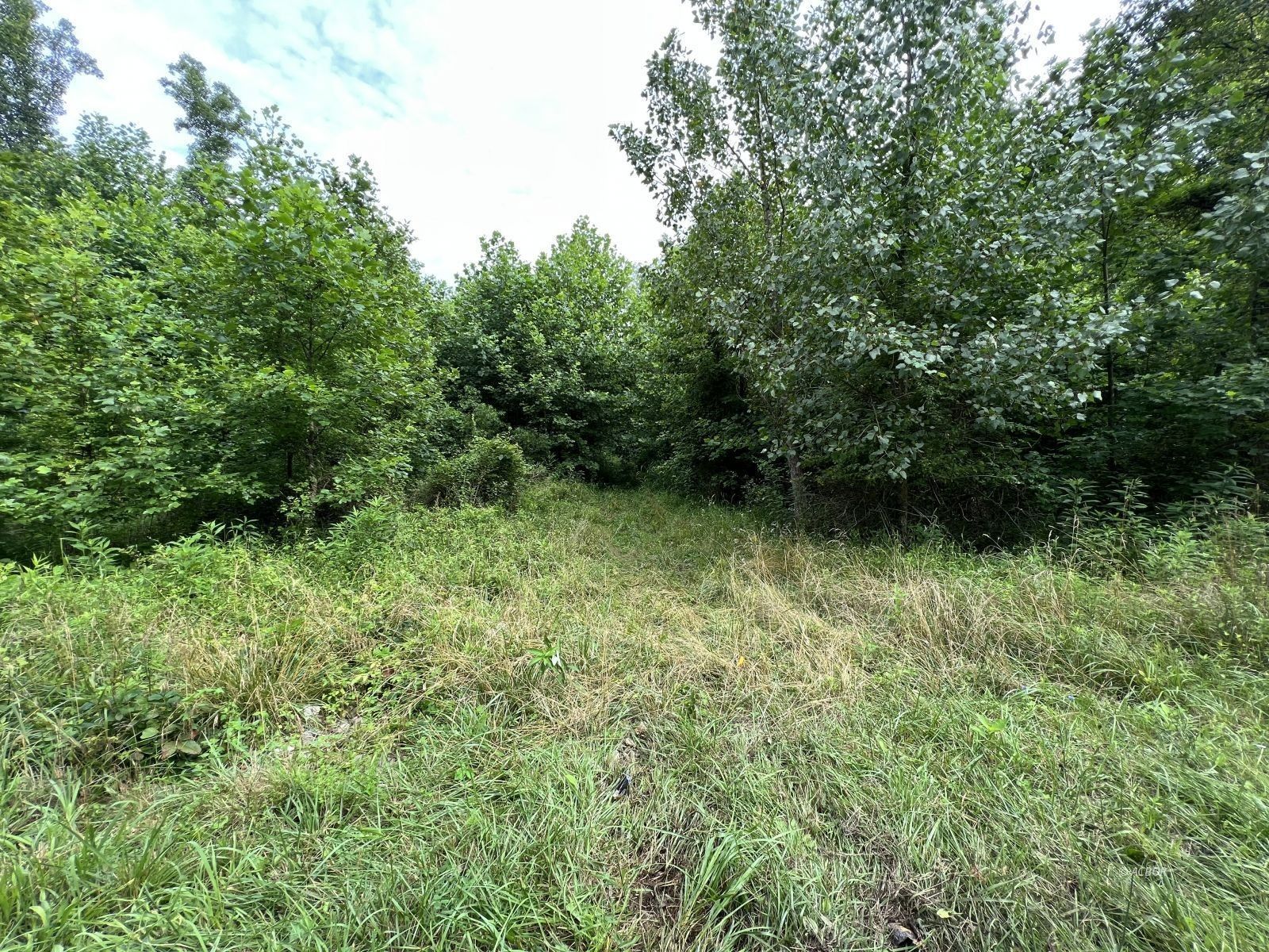 50 acres in Meigs County, Ohio