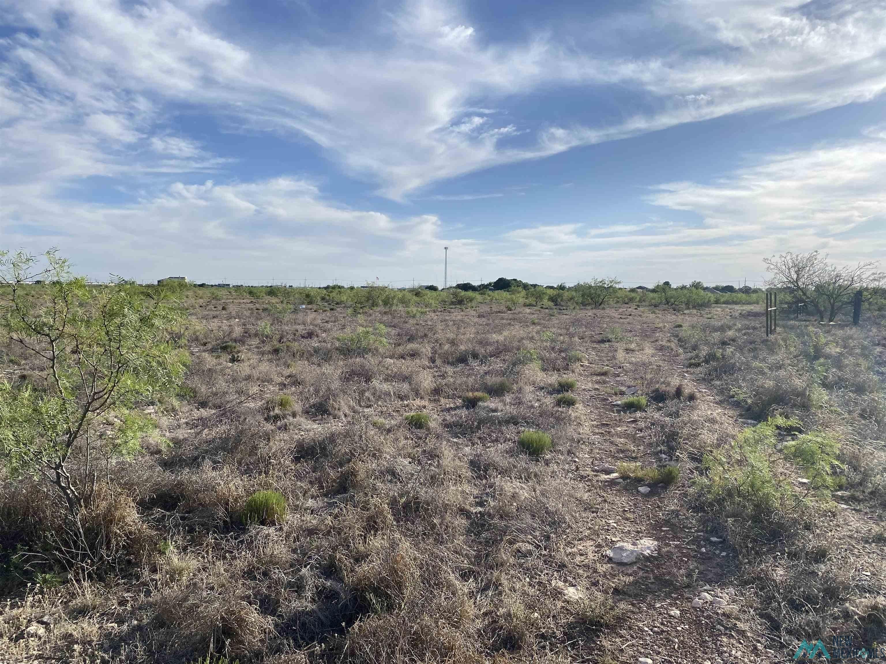 40 acres in Lea County, New Mexico