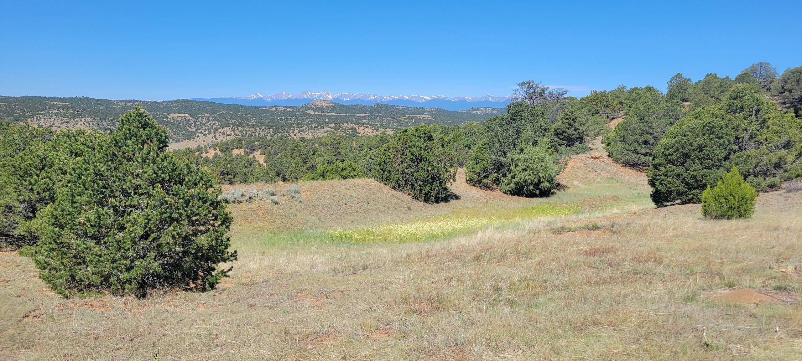 38.78 acres in Las Animas County, Colorado