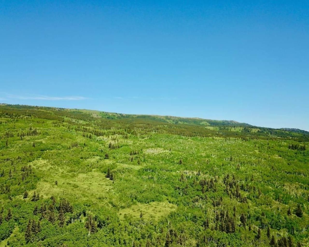 403 acres in Glacier County, Montana