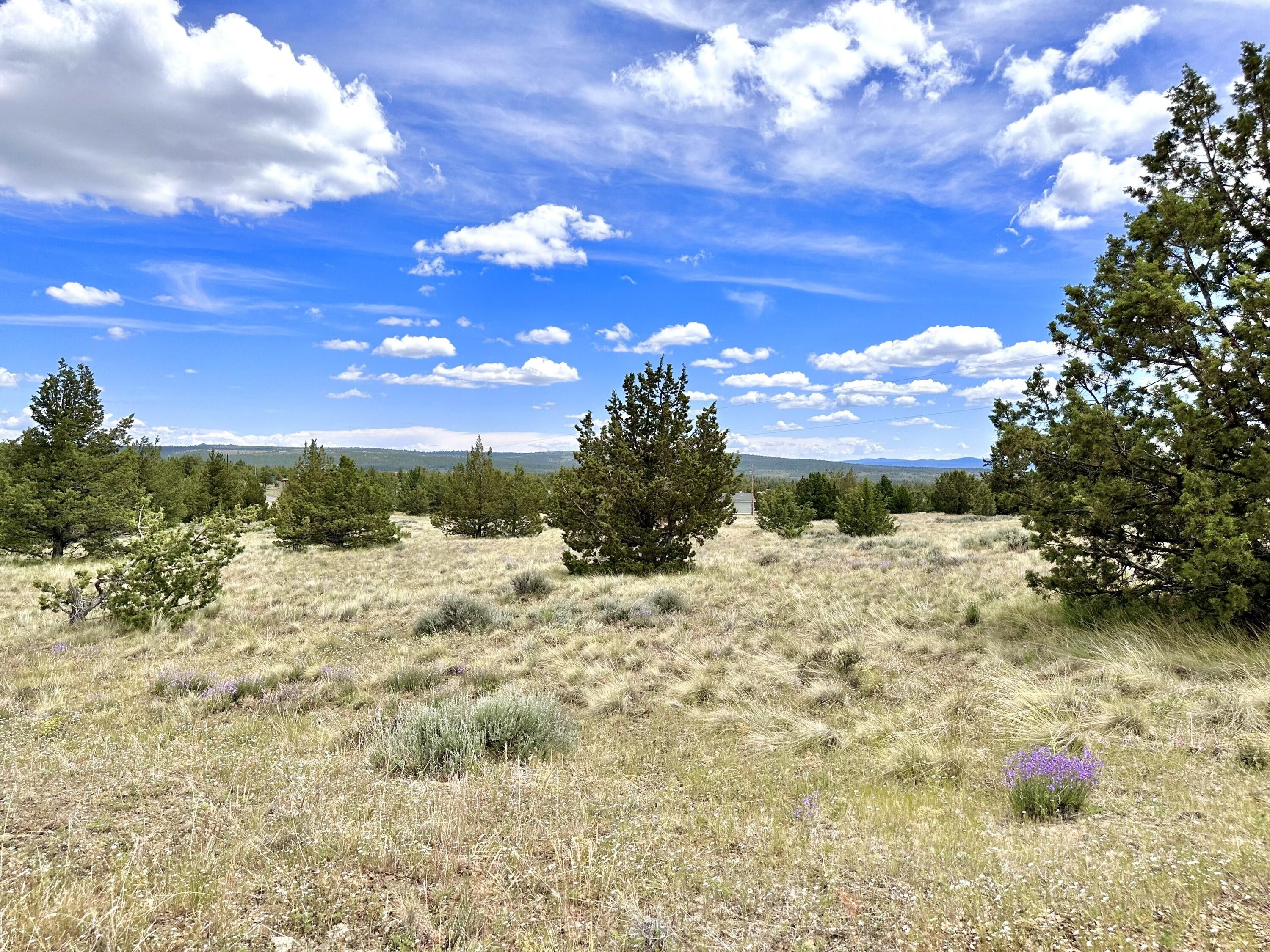 20 acres in Crook County, Oregon