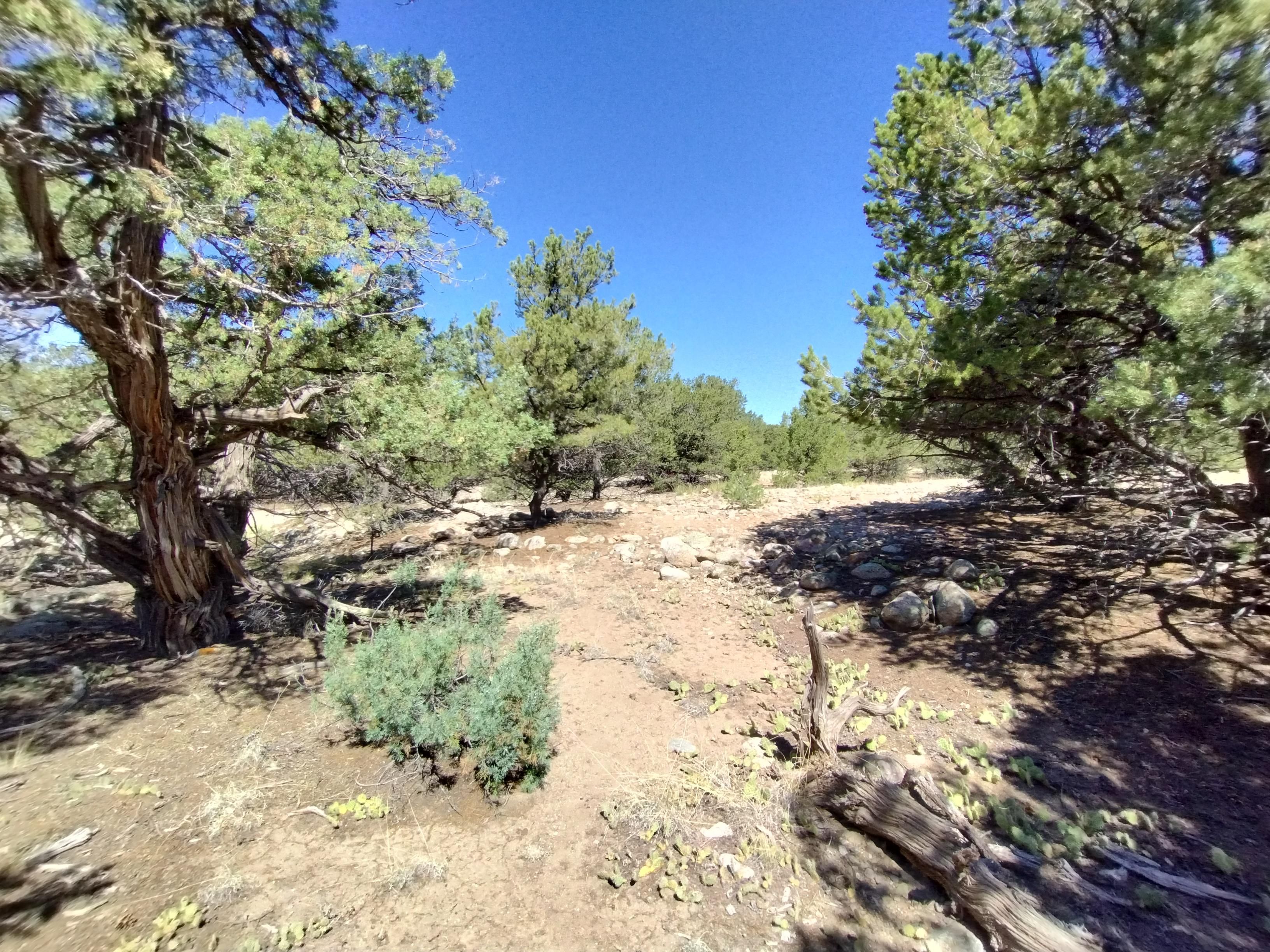 1.59 acres in Saguache County, Colorado