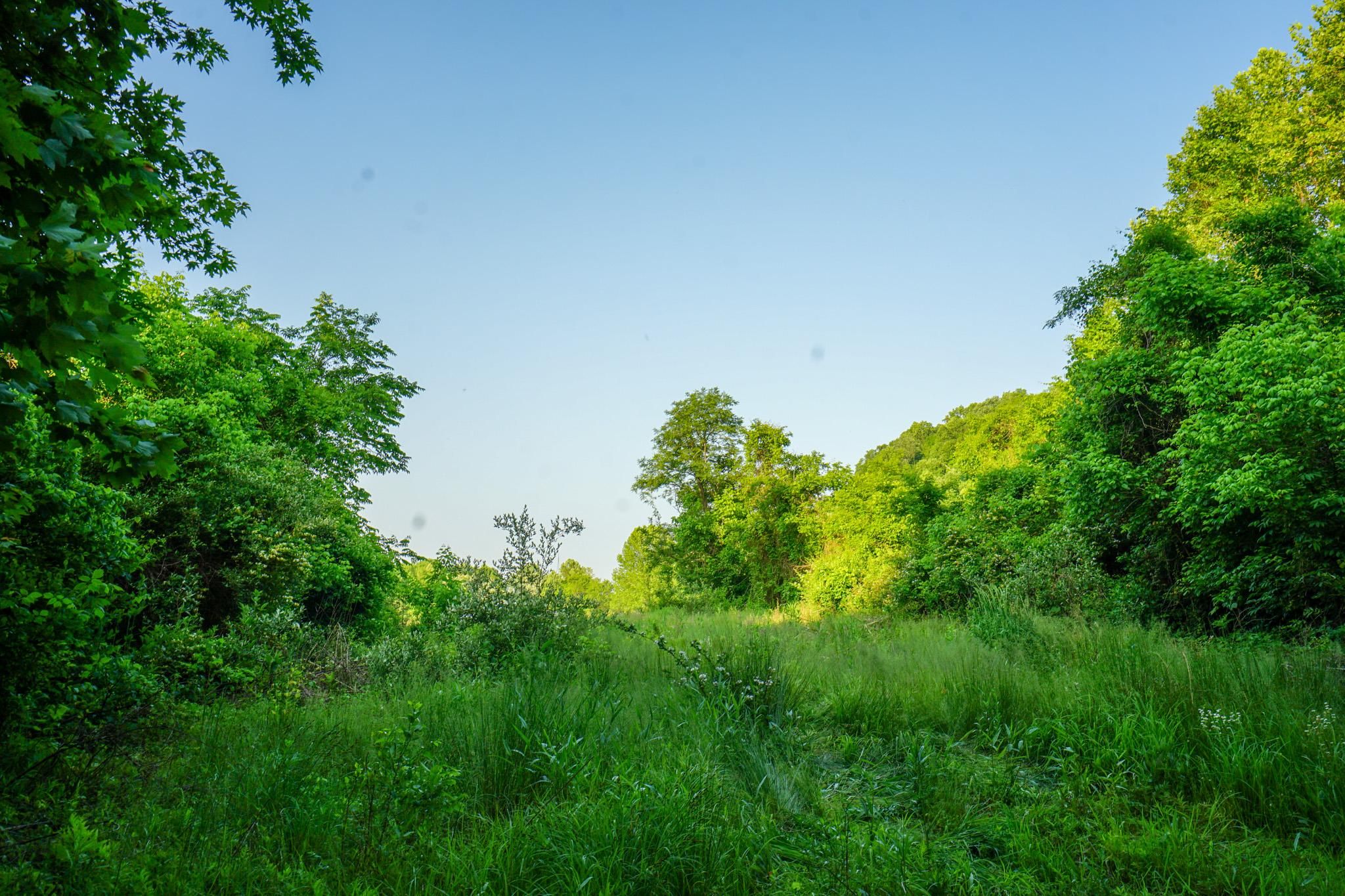44 acres in Lawrence County, Ohio