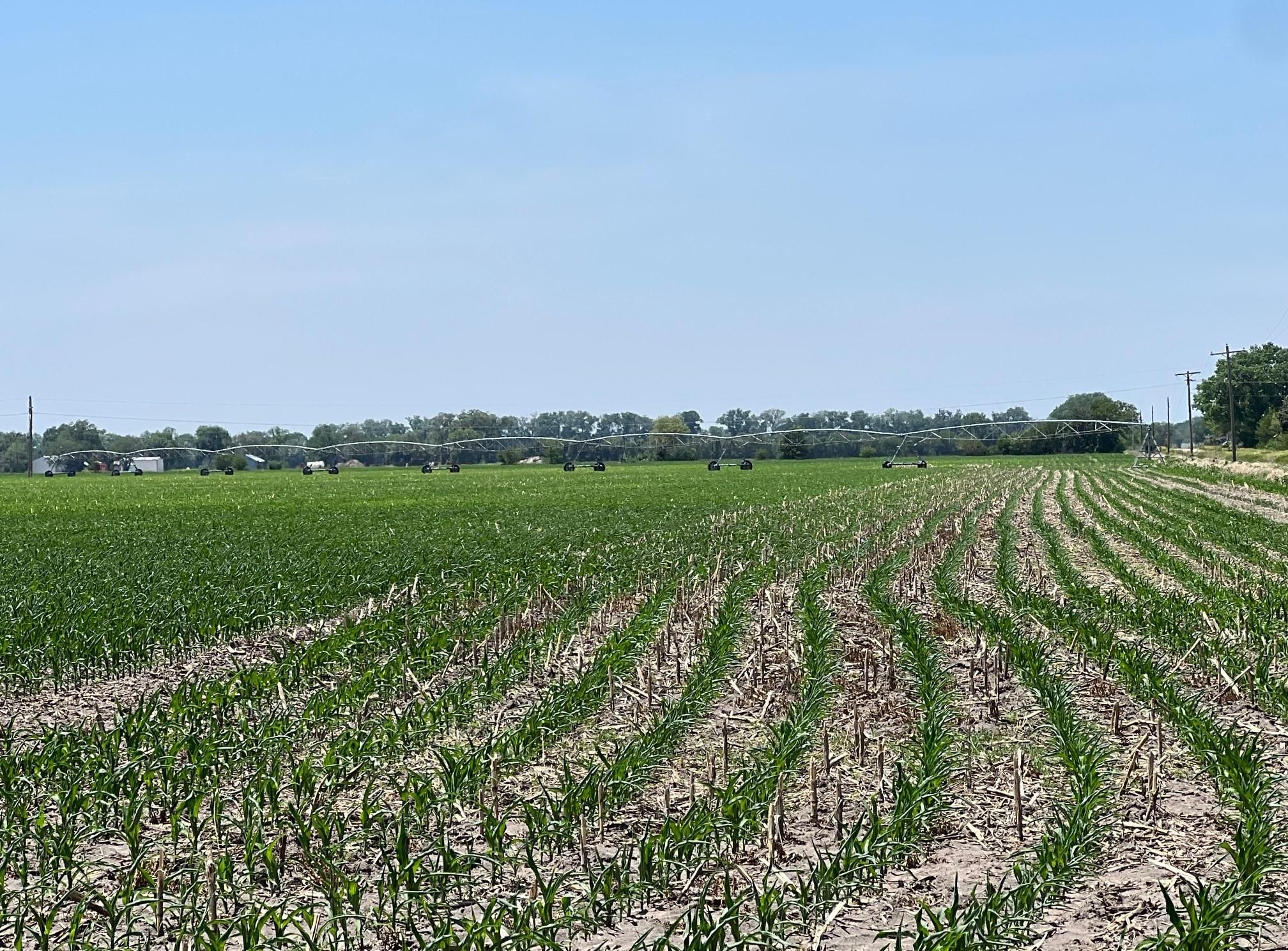 80 acres in Polk County, Nebraska