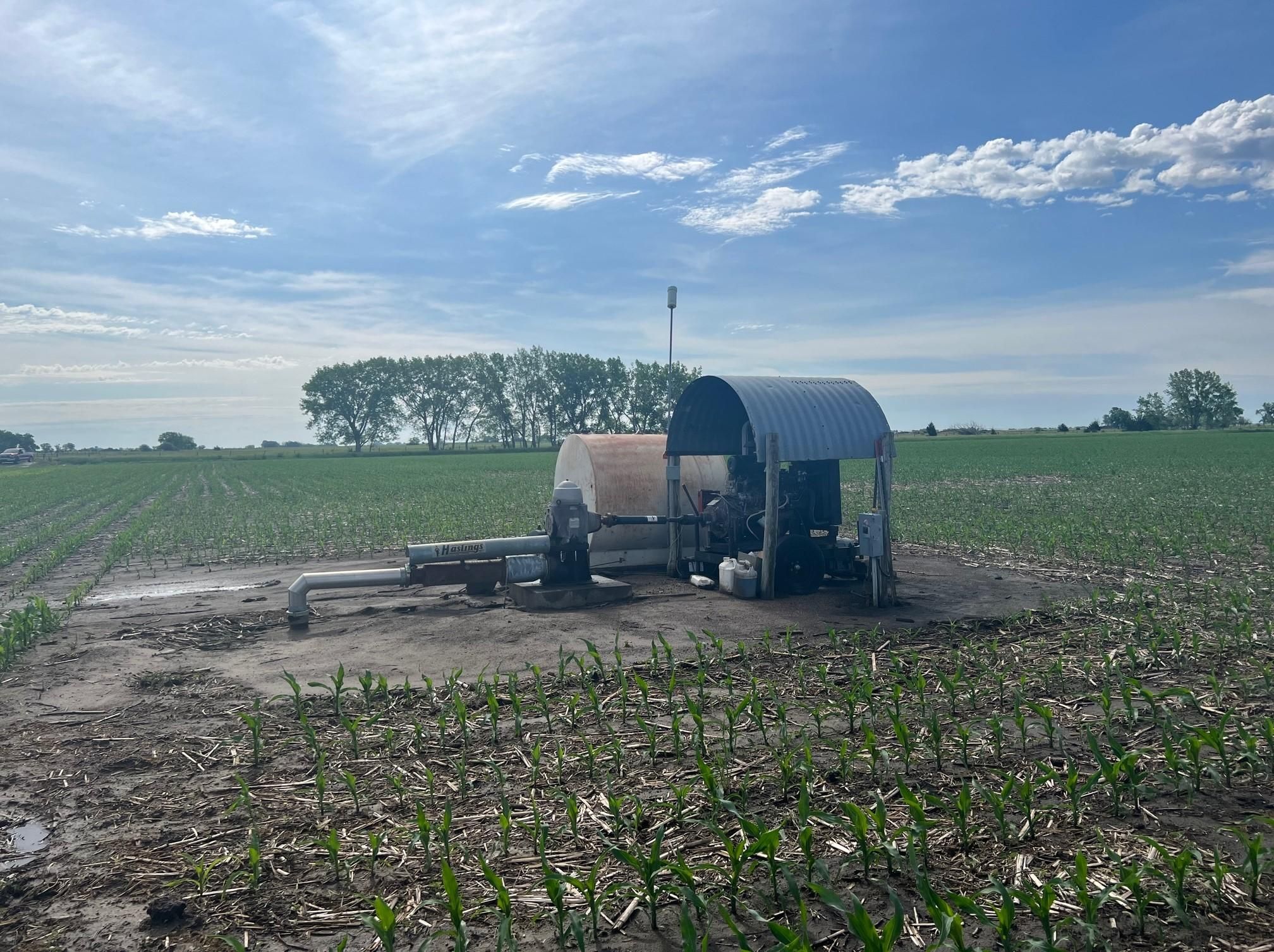 146.33 acres in Nance County, Nebraska