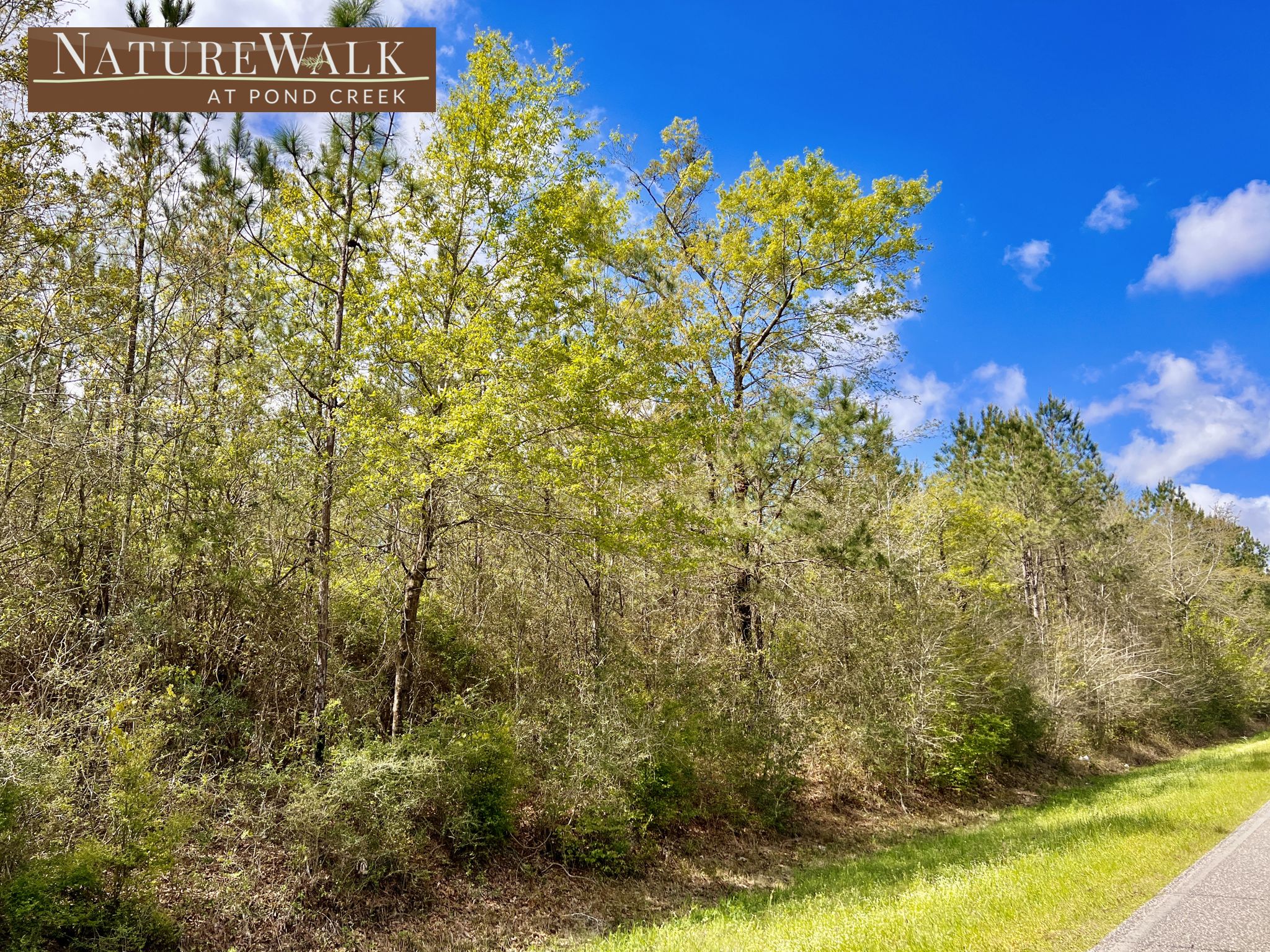 5.77 acres in Santa Rosa County, Florida