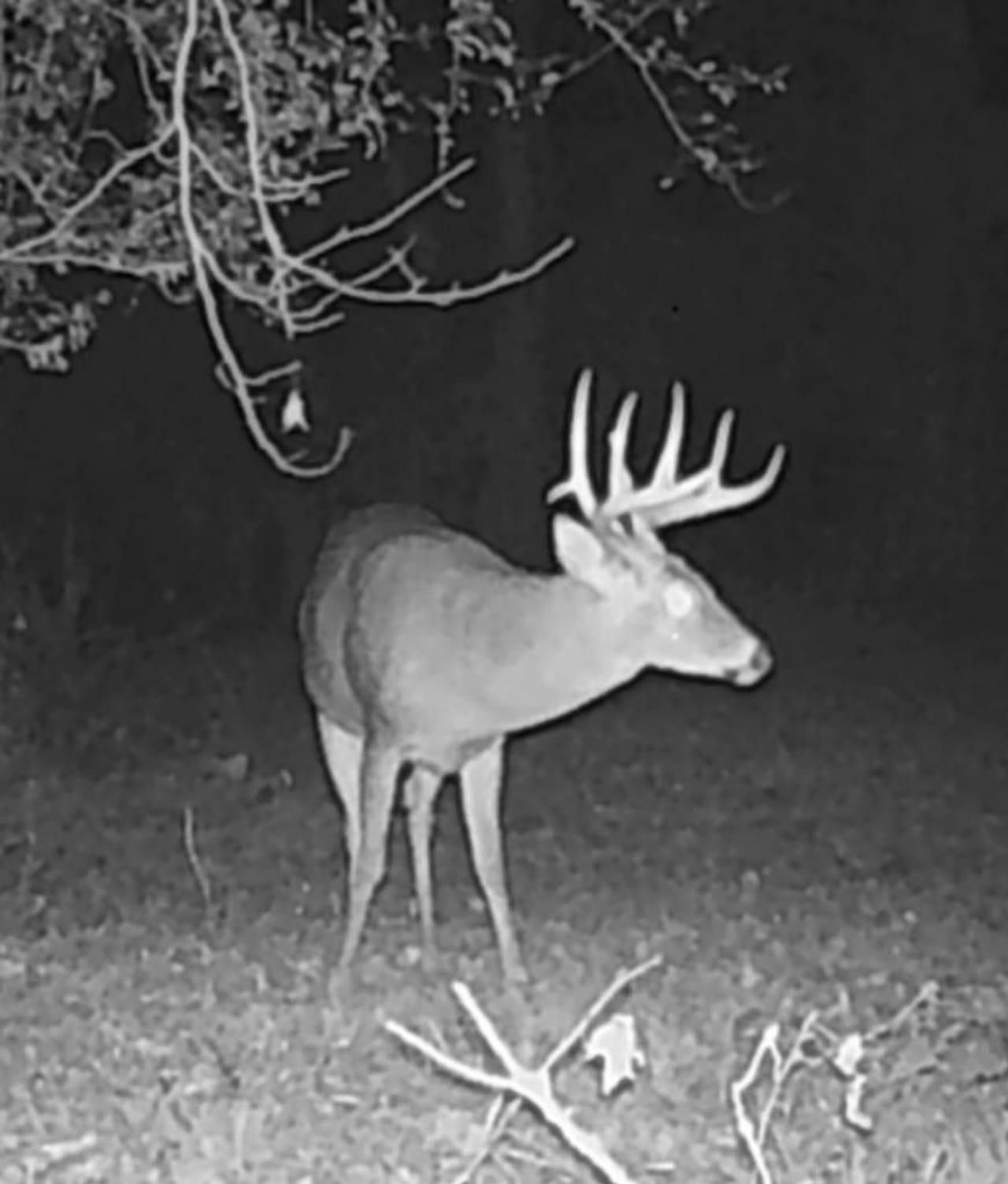 Hwy 568, Magnolia, MS 39652 MLS 136766