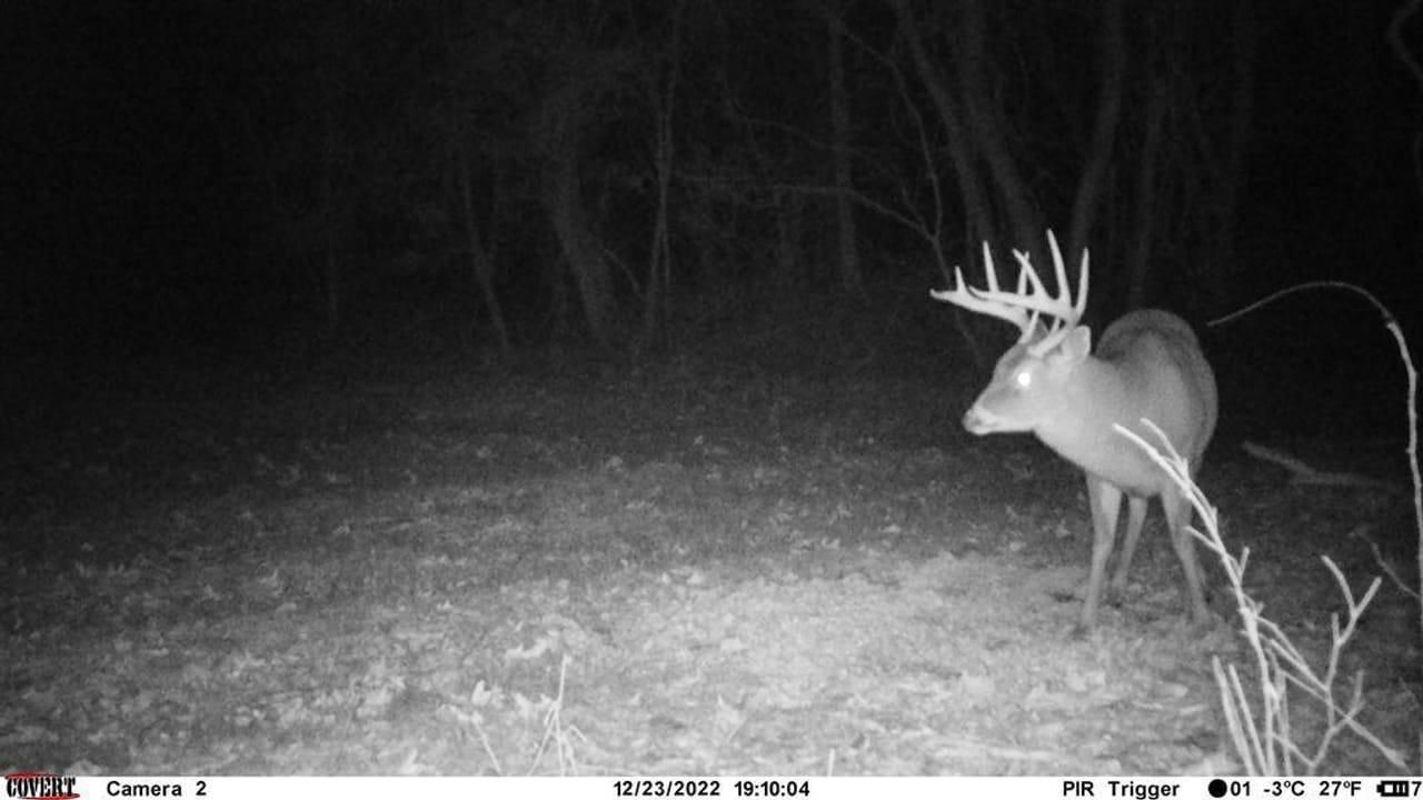 344 acres in Adams County, Mississippi