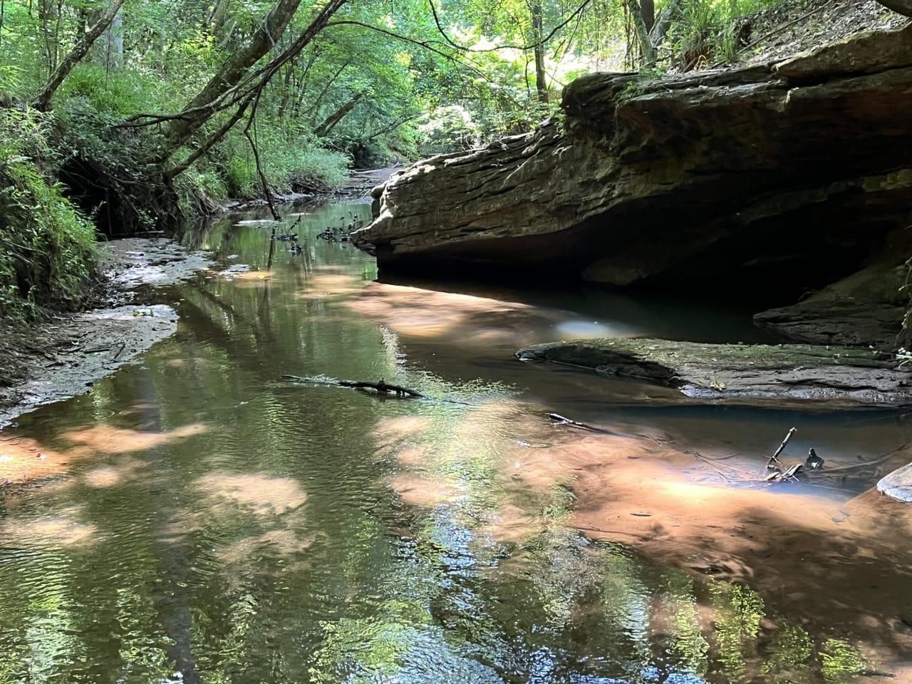 62 acres in Monroe County,