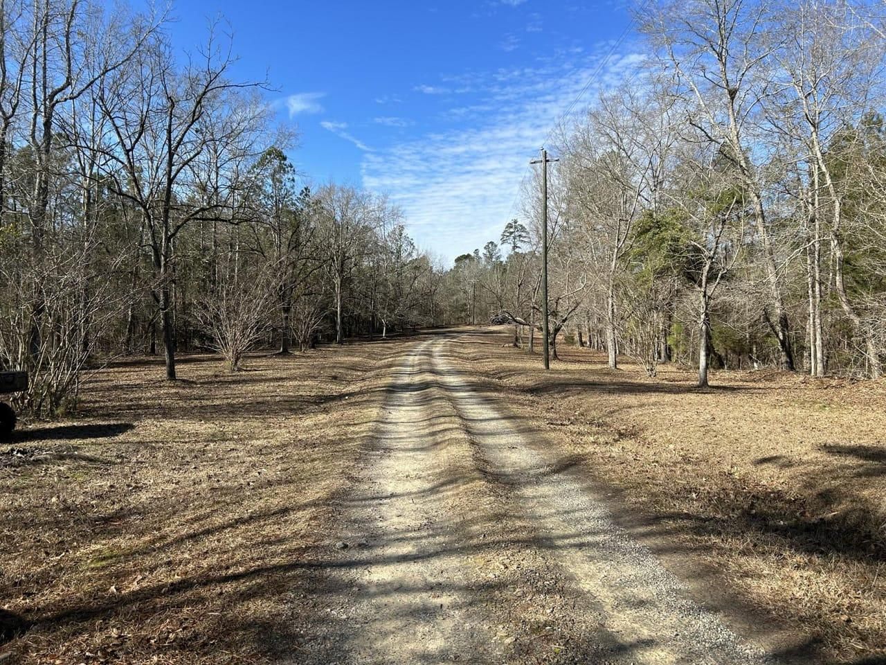 91.3 acres in Baldwin County,