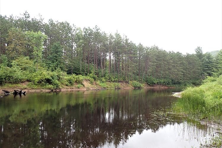 Stone Road, Pitcairn, NY 13648 MLS 48664