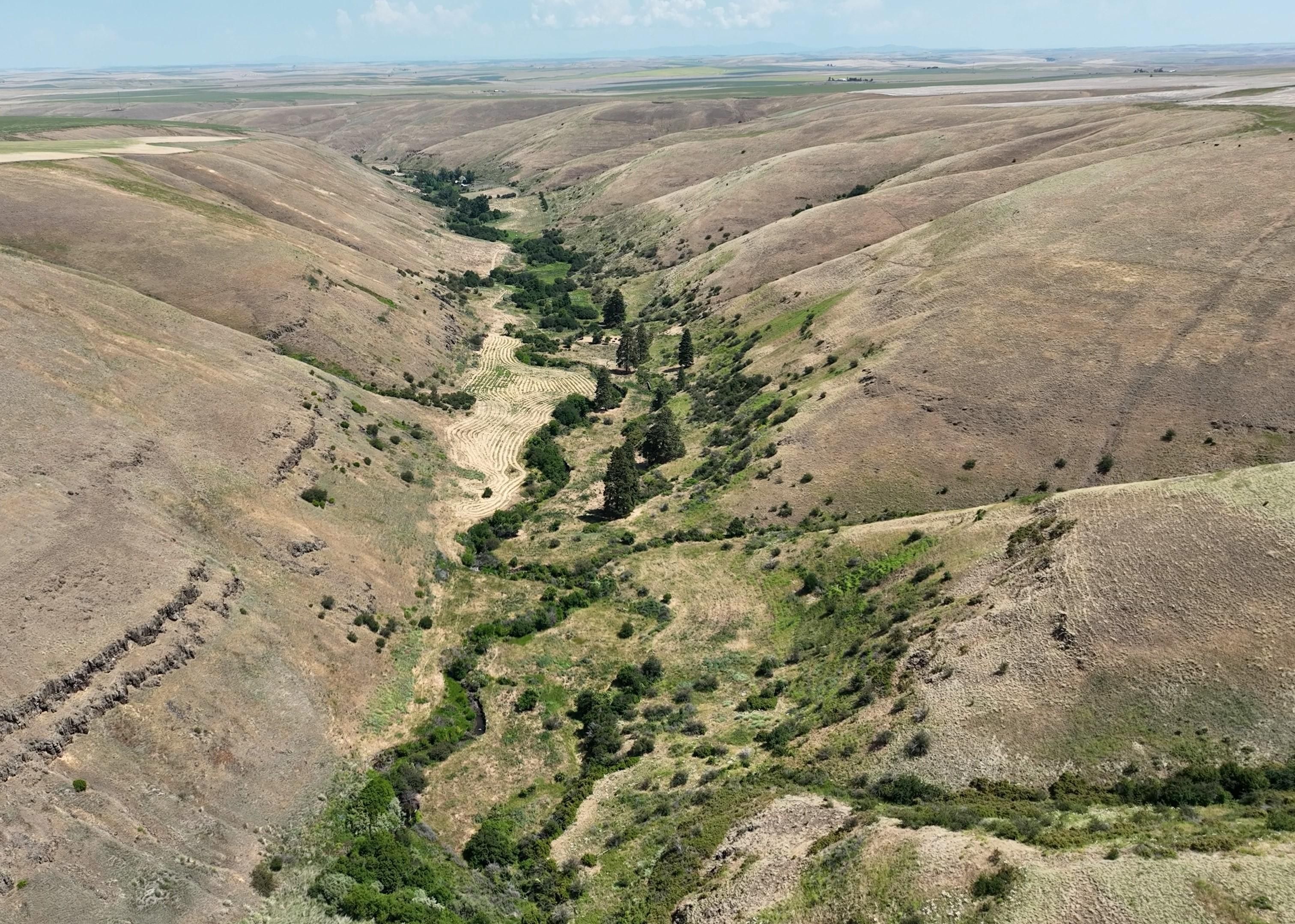 347.55 acres in Garfield County, Washington