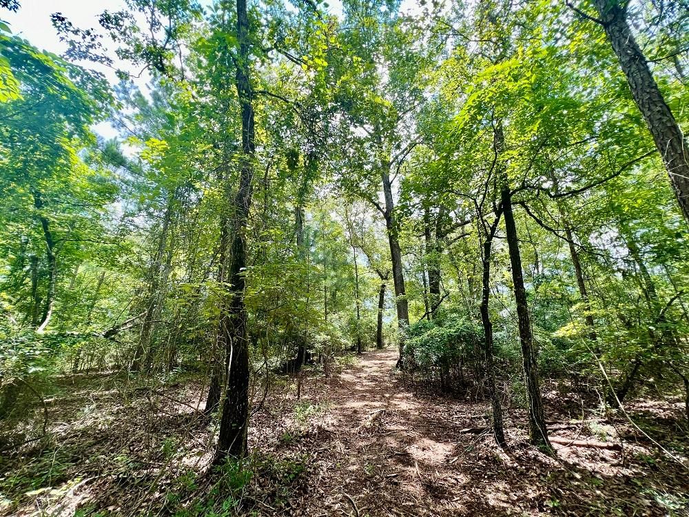 12 acres in Taylor County,