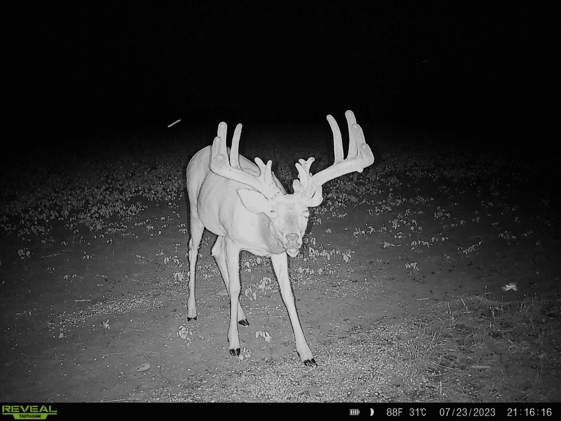 158.8 acres in Coffey County, Kansas