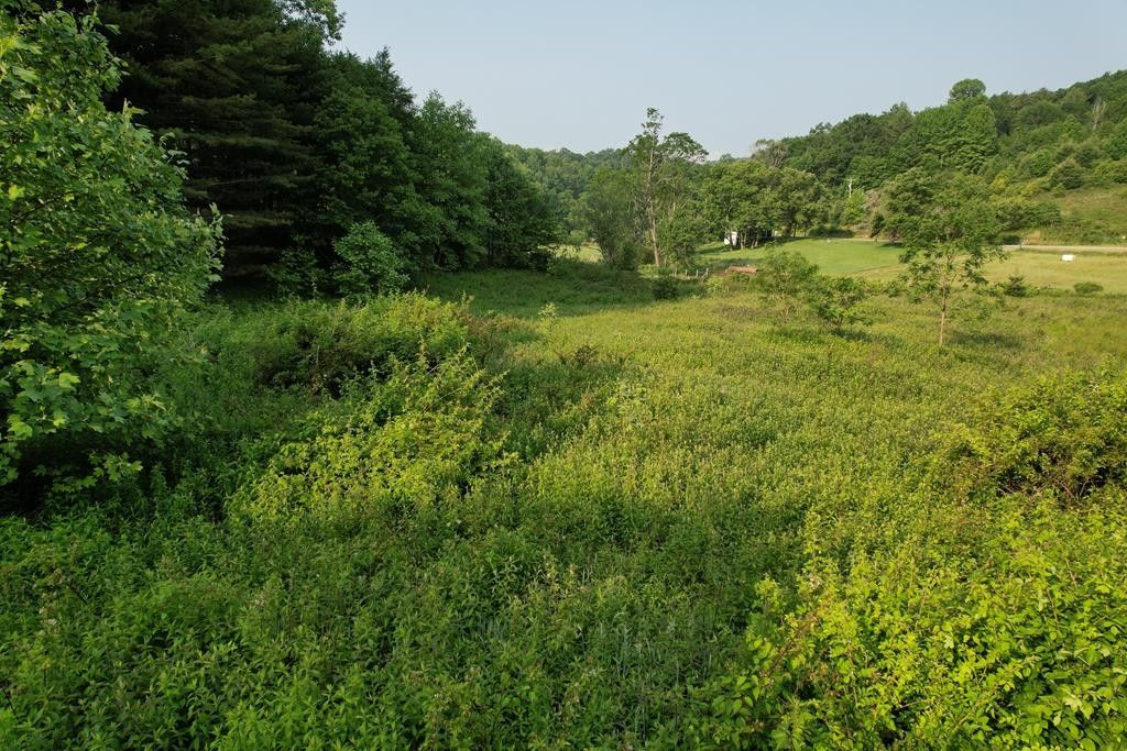 12 acres in Macon County, North Carolina