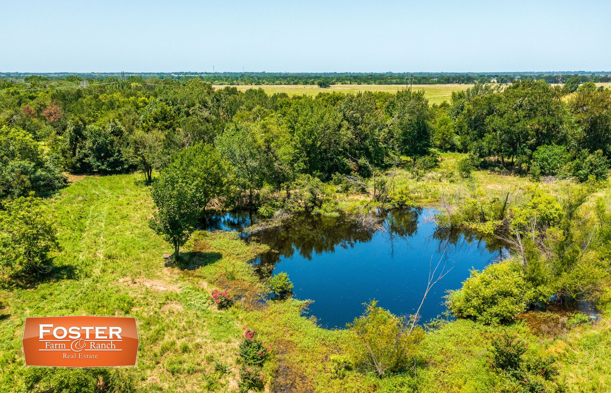 288 acres in Navarro County, Texas