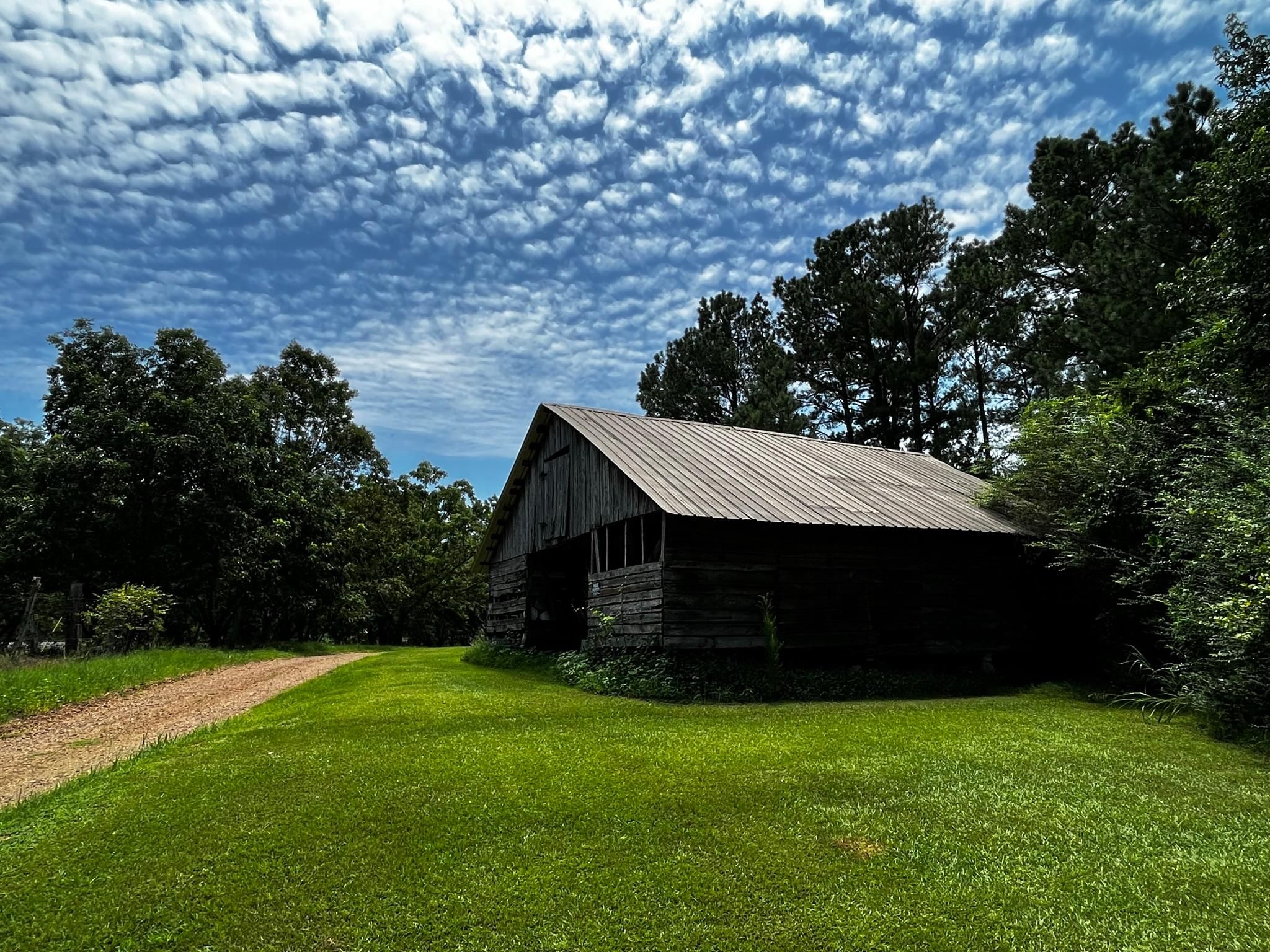 80 acres in Kosciusko, MS, 39090