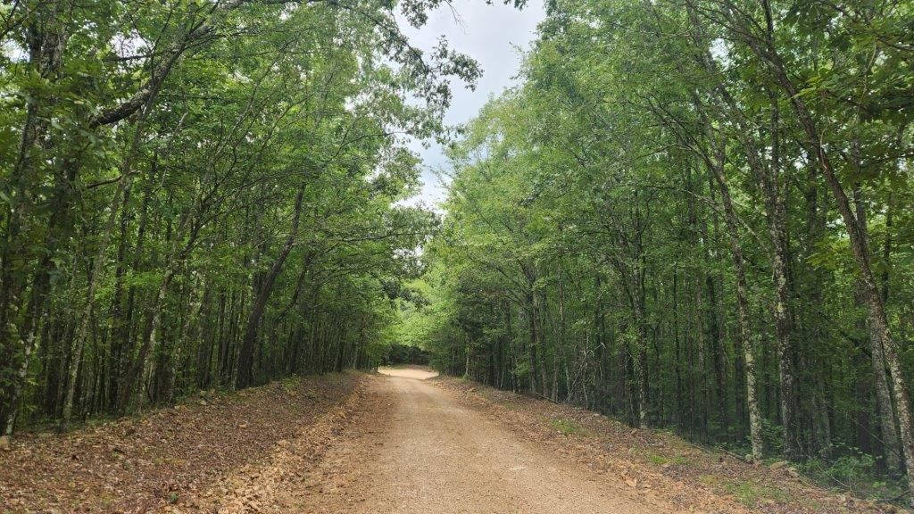 16.32 acres in Bismarck, AR, 71929 MLS 5048 Point Cedar