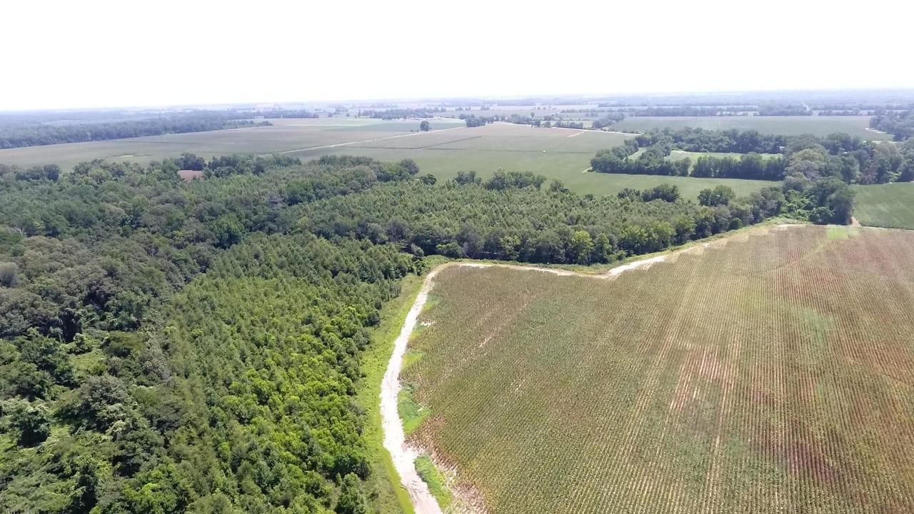 593 COLLINSTON RD., Collinston, LA 71229 MLS A50119