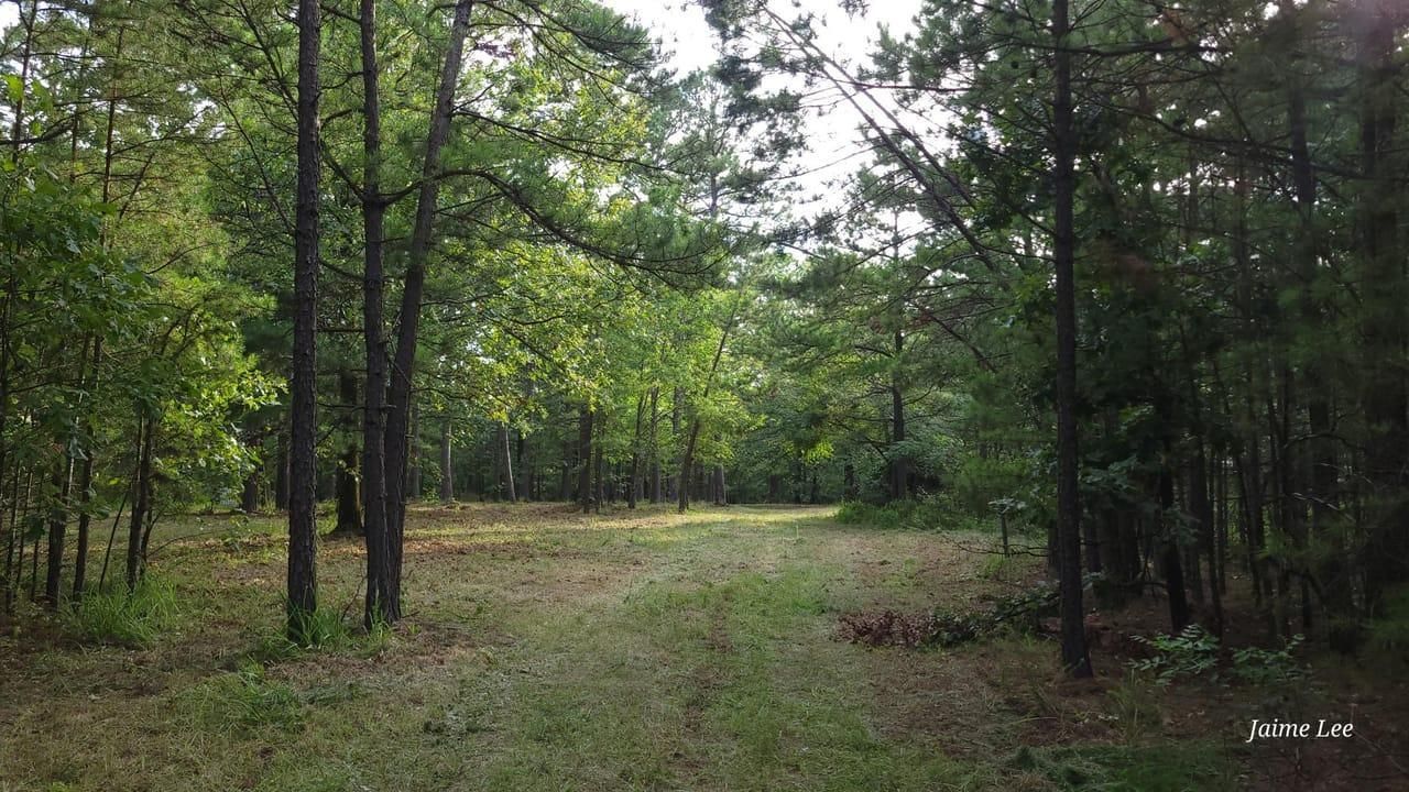 68 acres in Le Flore County, Oklahoma