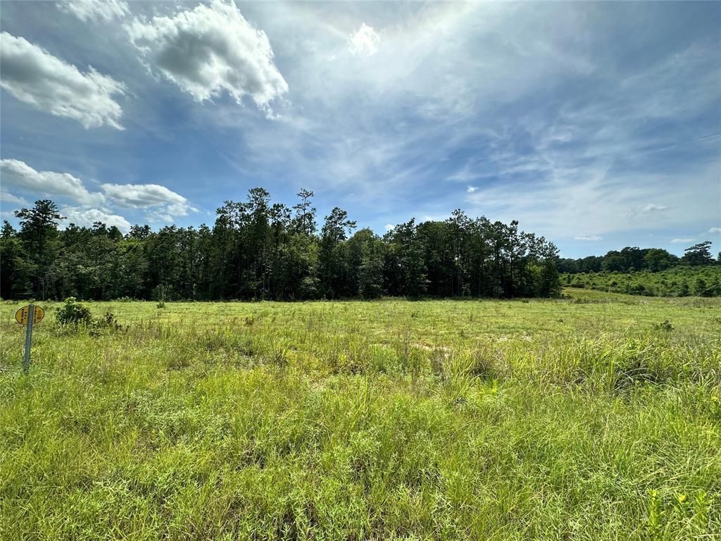 45.8 acres in Doucette, TX, 75979 MLS 44099220