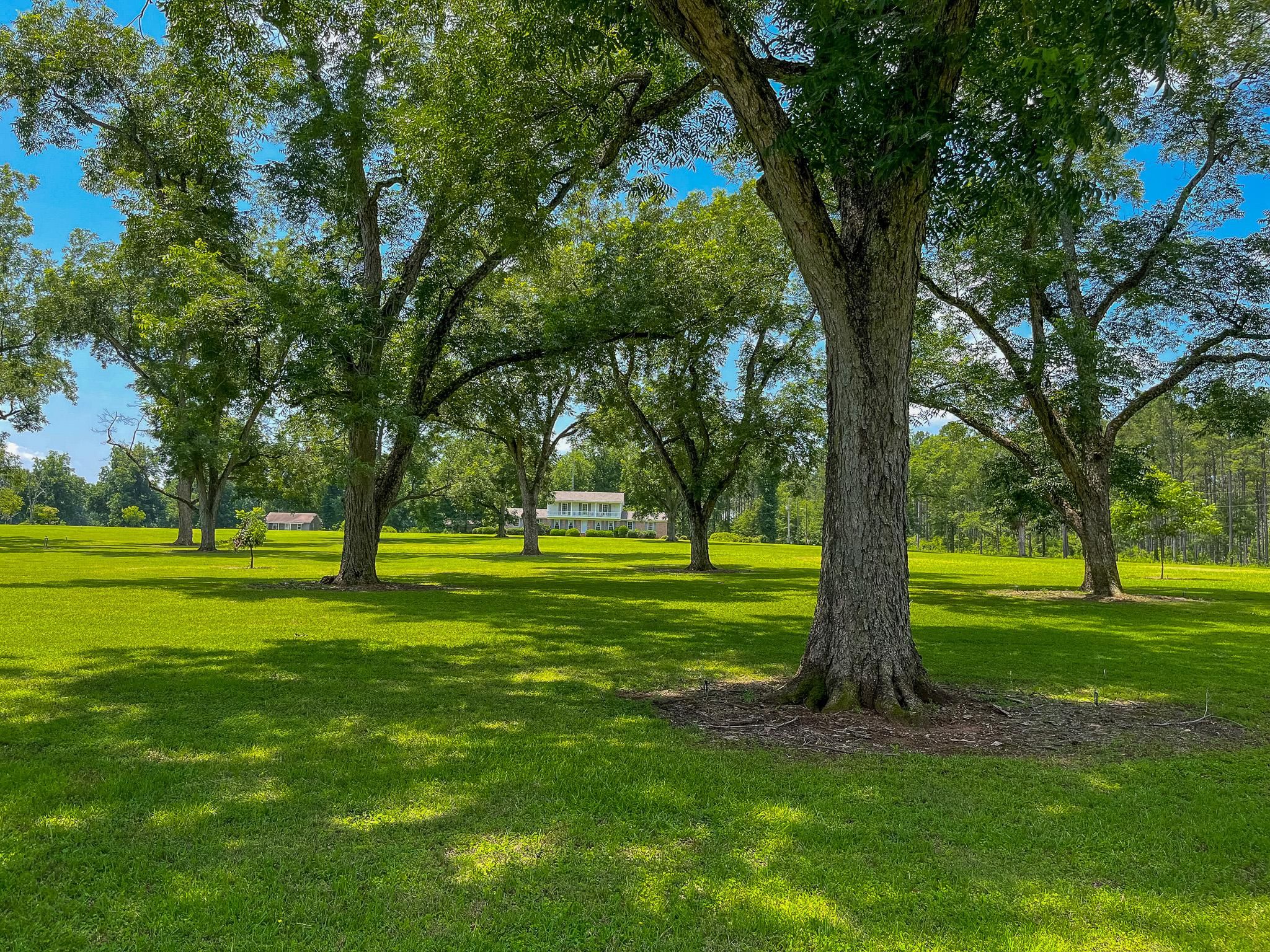 20 acres in Randolph County,