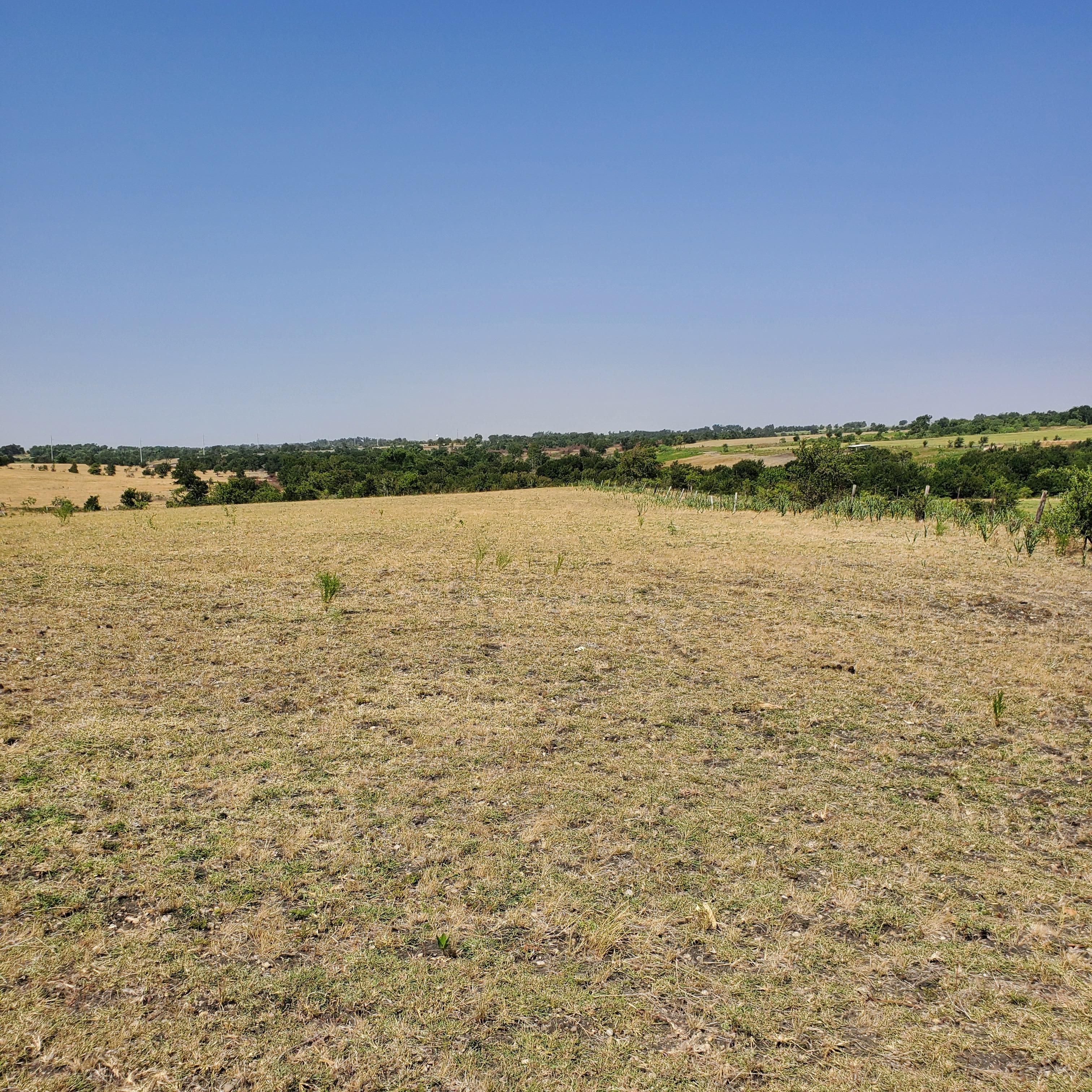 1150 County Road 427, Thrall, TX 76578