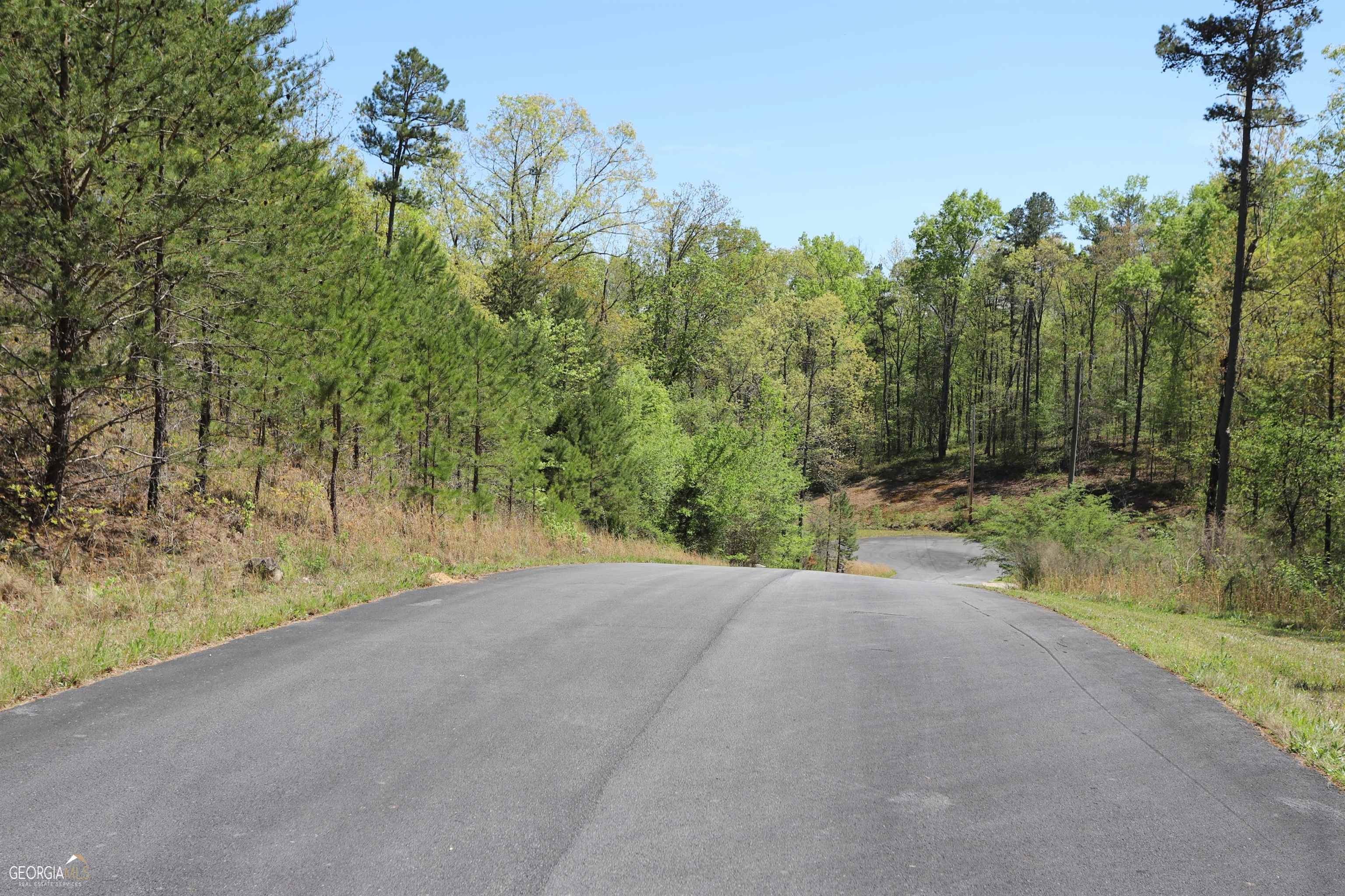 24.54 acres in Chattooga County,