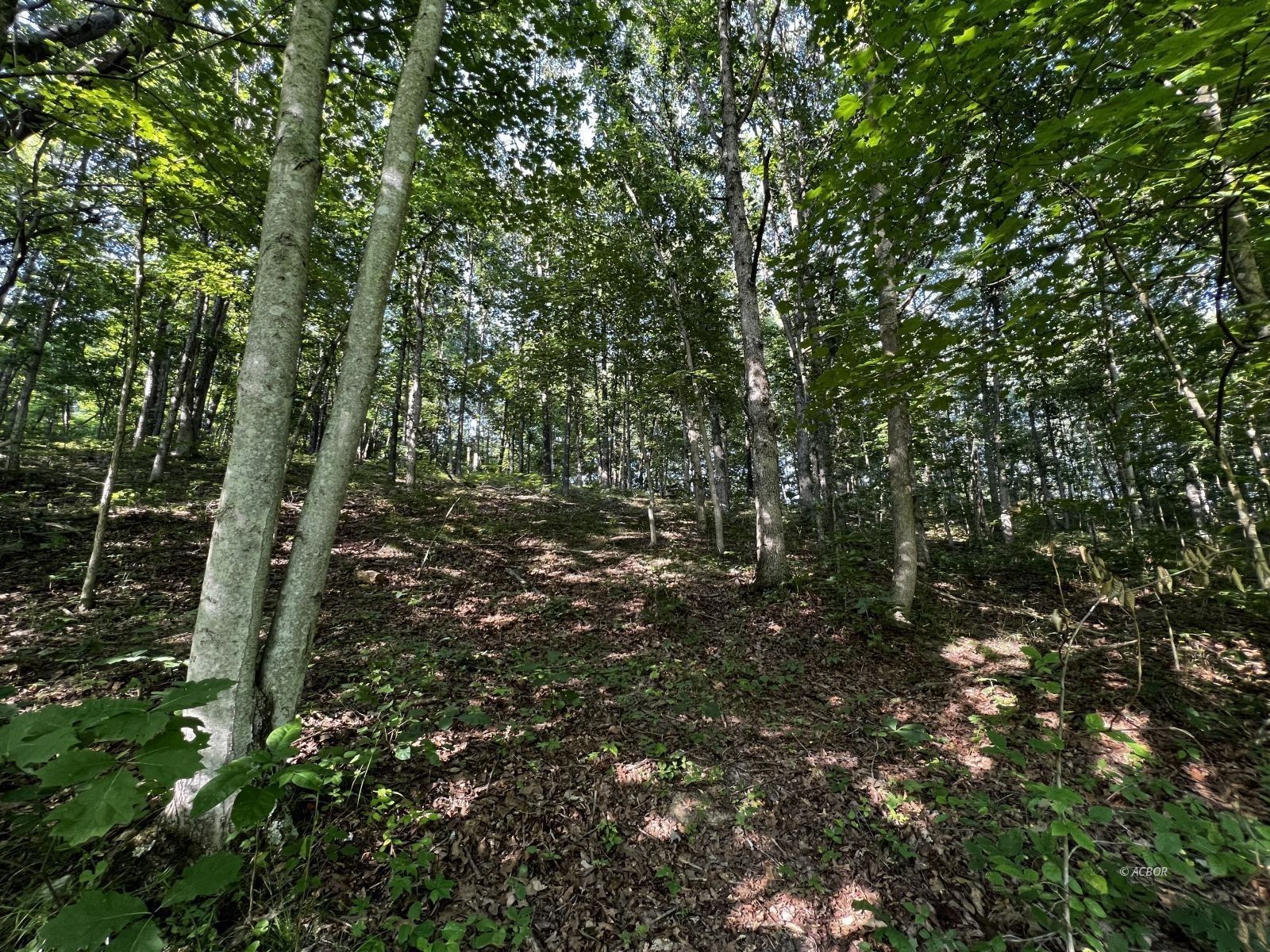 14.7 acres in Vinton County, Ohio