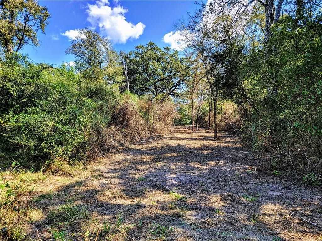 3.81 acres in Robertson County, Texas