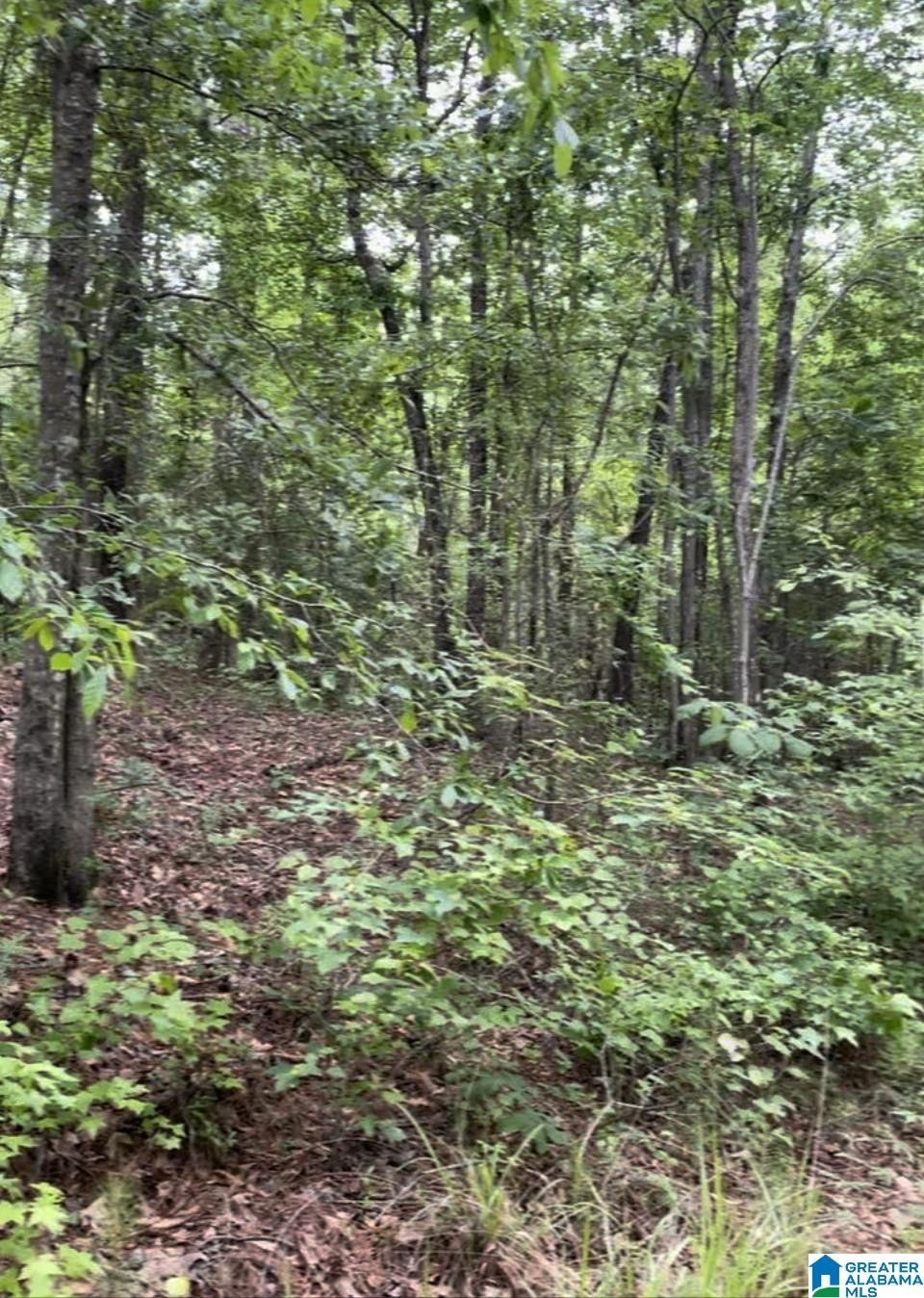 10 acres in Bibb County, Alabama