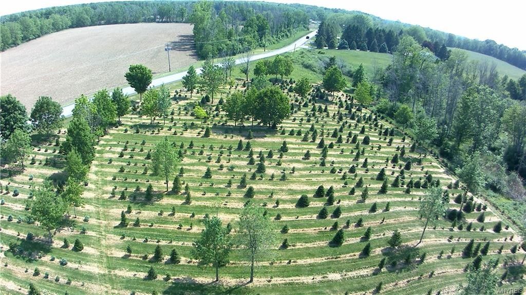 4 acres in Orleans County, New York