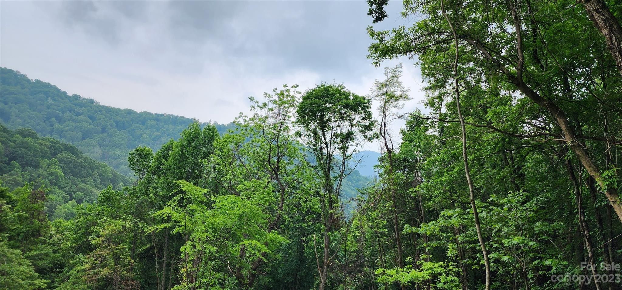 10 acres in Haywood County, North Carolina